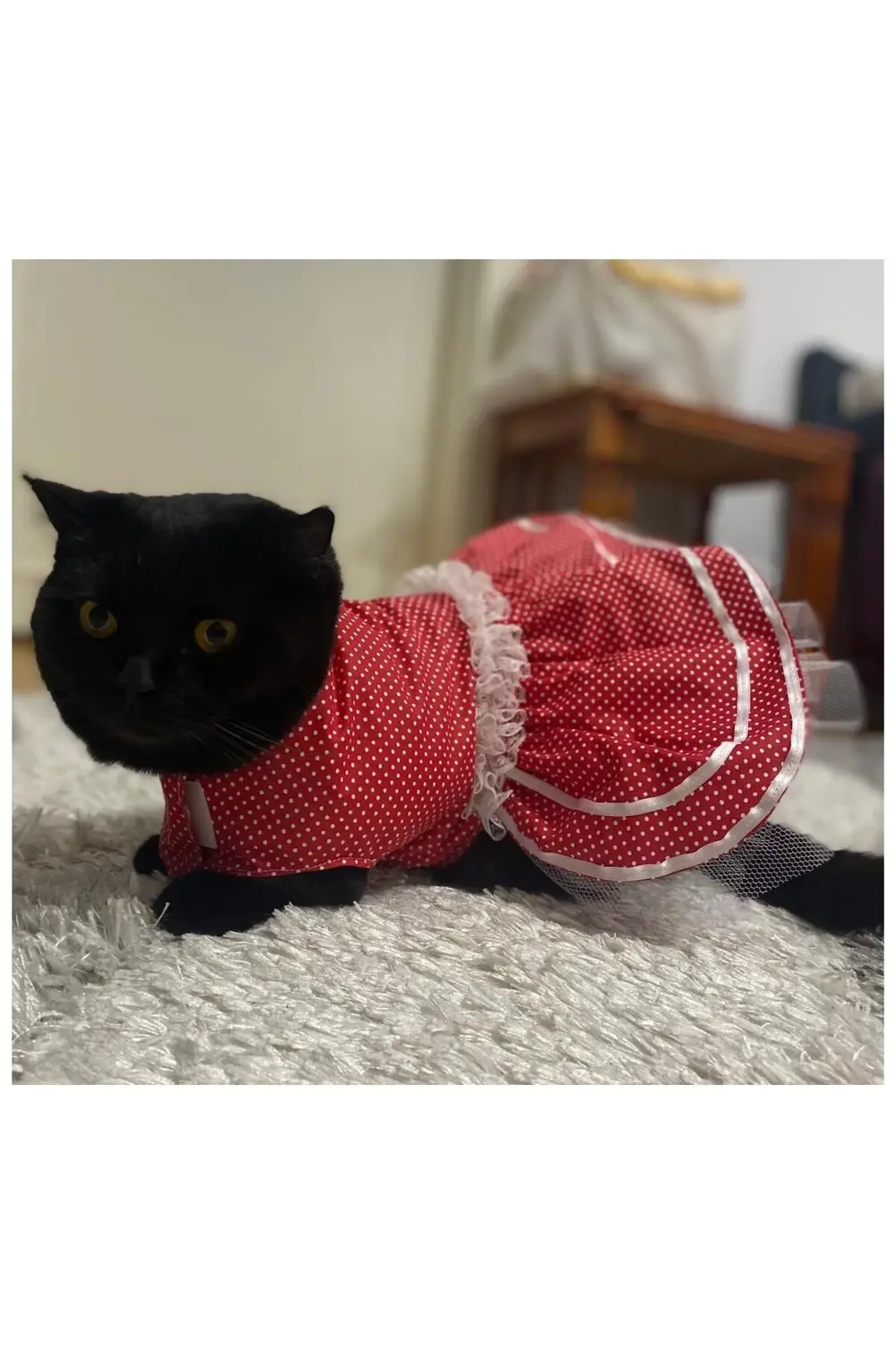 Beyaz Puantiyeli Kurdeleli Kırmızı Dişi Kedi Köpek Kıyafeti Elbis