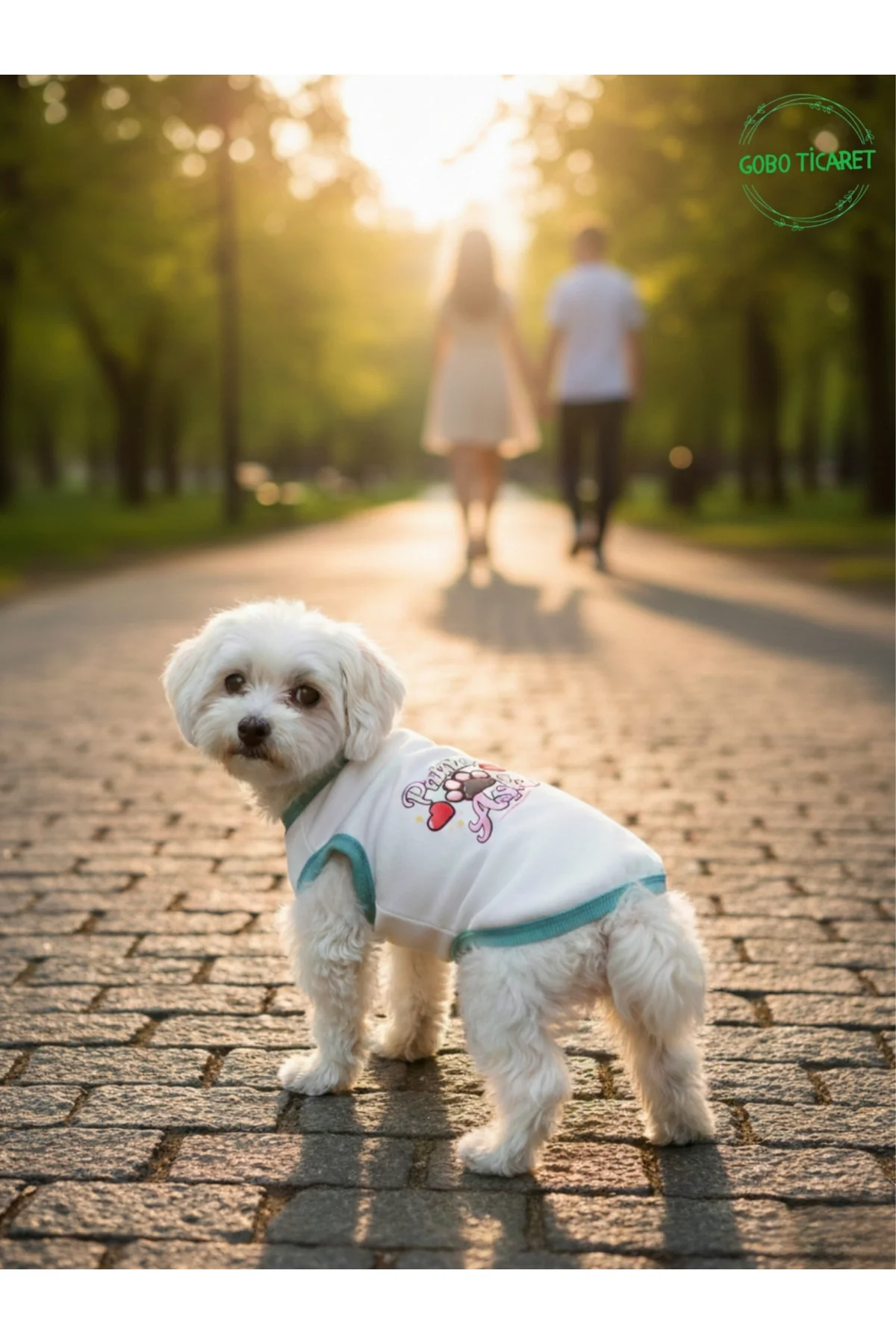 Beyaz Renkli Patili Aşk Baskılı Kedi ve Köpek Kıyafeti Tişörtü El