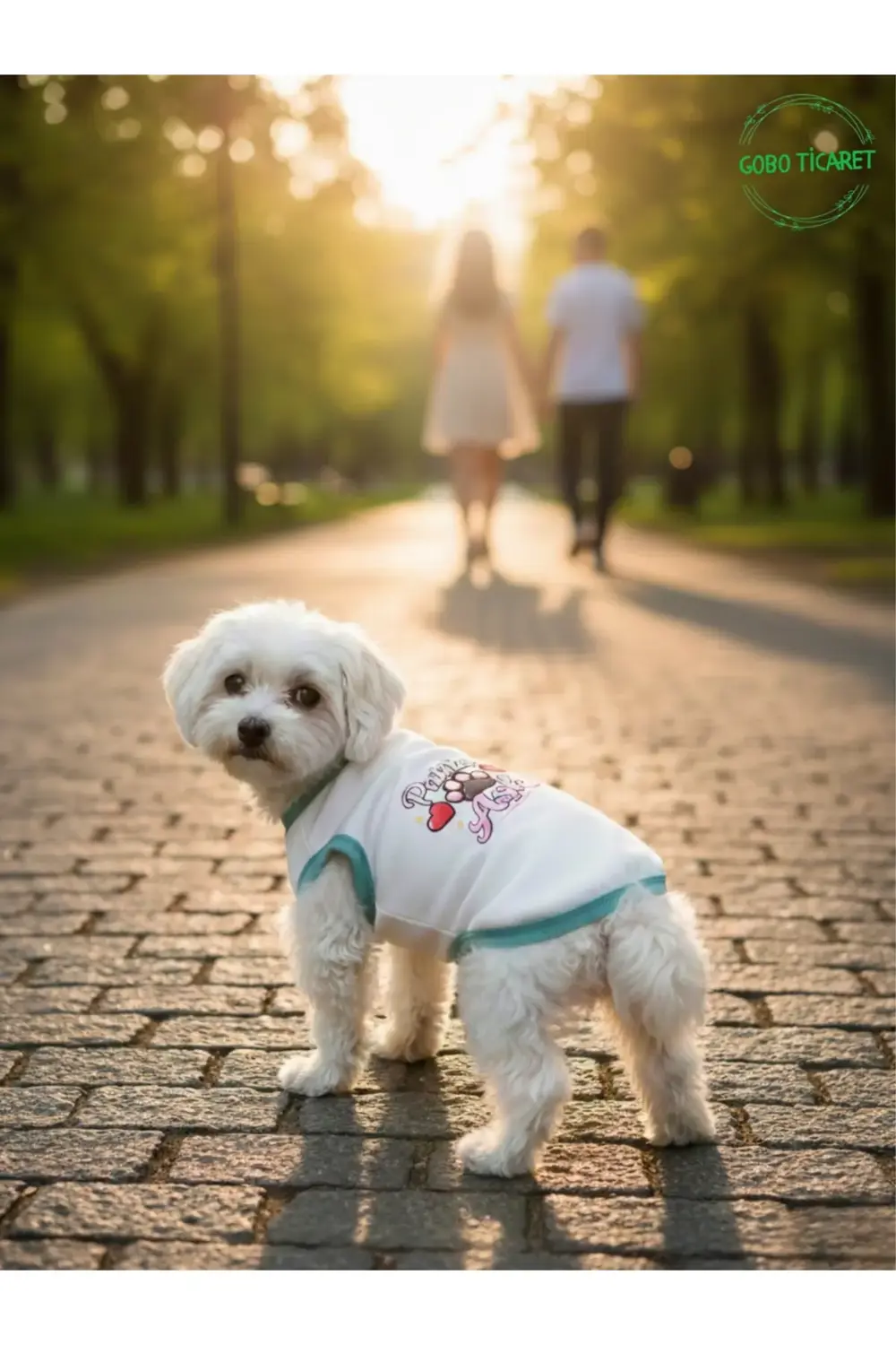 Beyaz Renkli Patili Aşk Baskılı Kedi ve Köpek Kıyafeti Tişörtü El