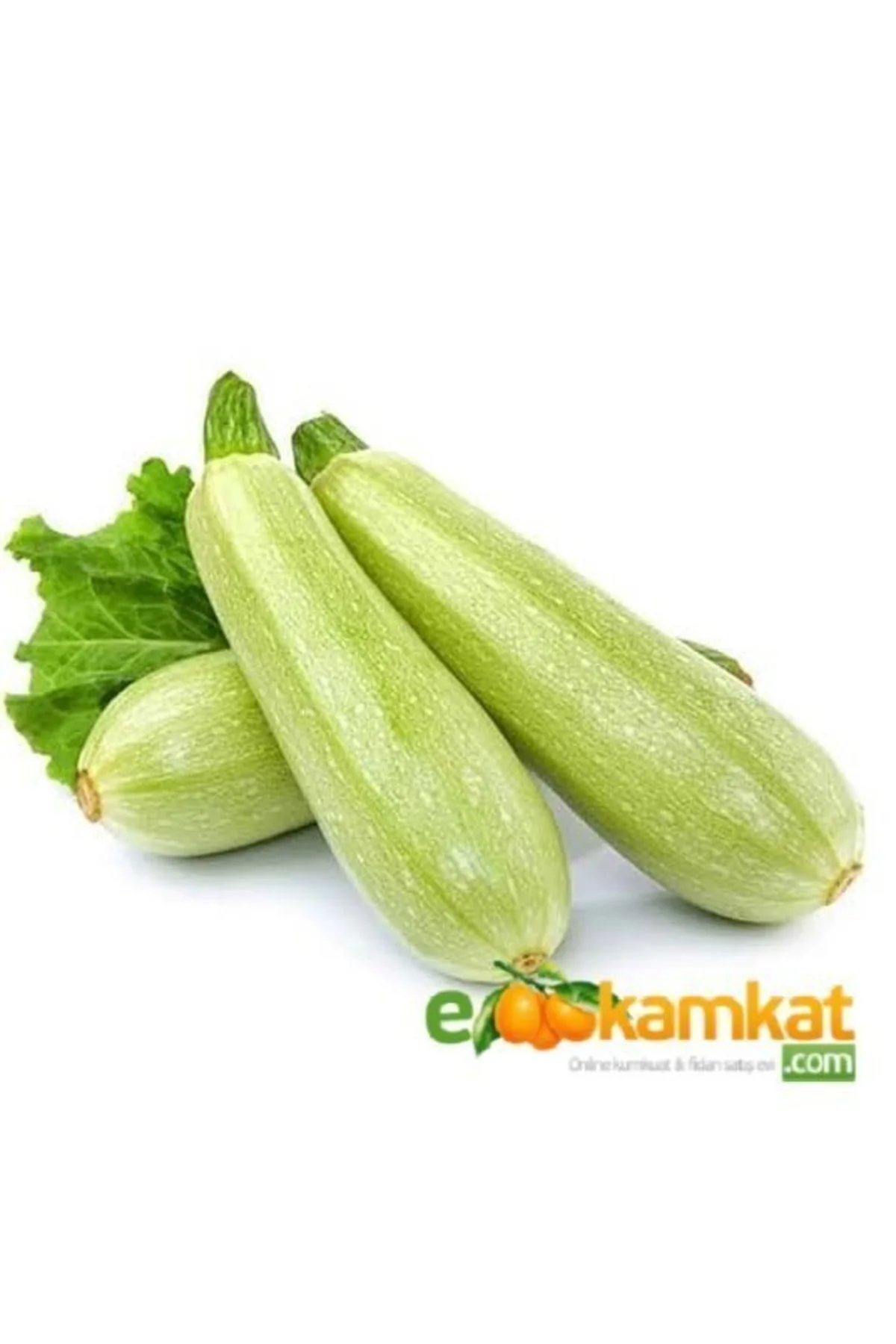 Beyaz Sakız Kabak Tohumu 10 Gr Paket Fiyatı, Yorumları ve Özellikleri