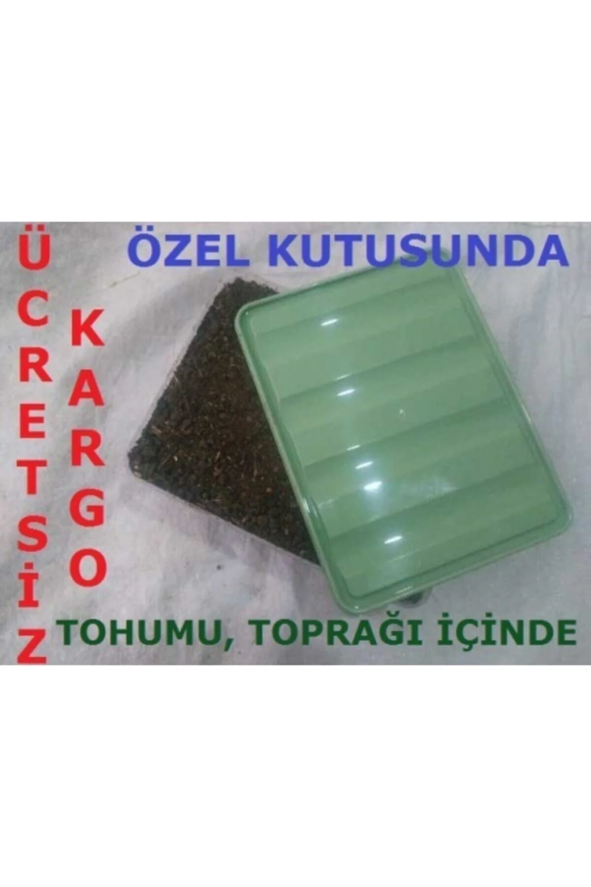 Beyaz Şapkalı Kültür Mantarı Tohumu Ekili Kutu Ve Yönerge