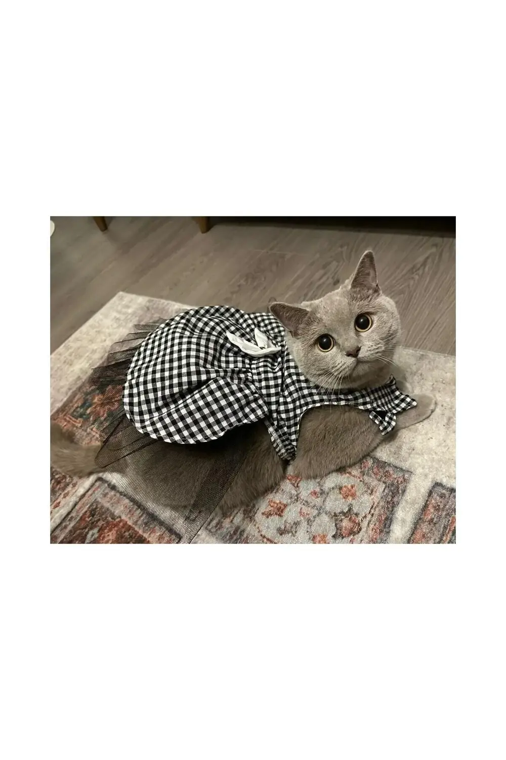 Beyaz Siyah Kareli Dişi Kedi Köpek Kıyafeti Elbisesi