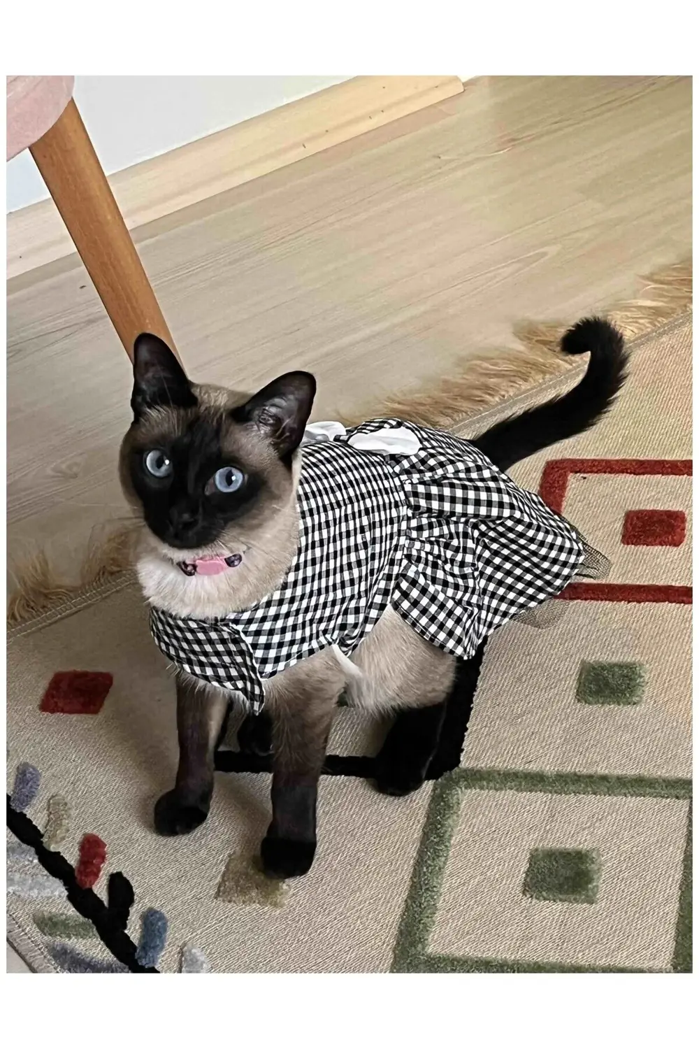 Beyaz Siyah Kareli Dişi Kedi Köpek Kıyafeti Elbisesi