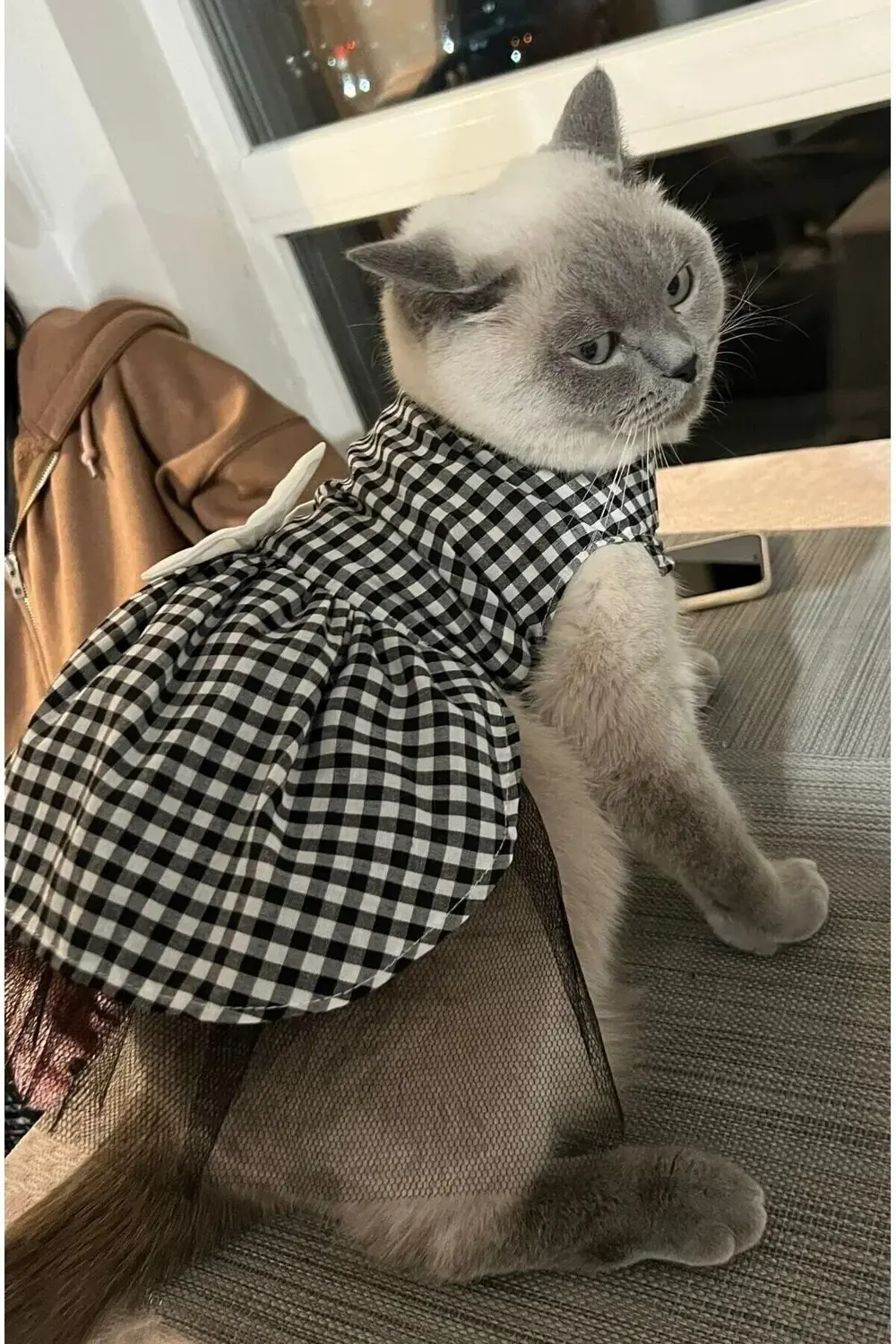 Beyaz Siyah Kareli Dişi Kedi Köpek Kıyafeti Elbisesi