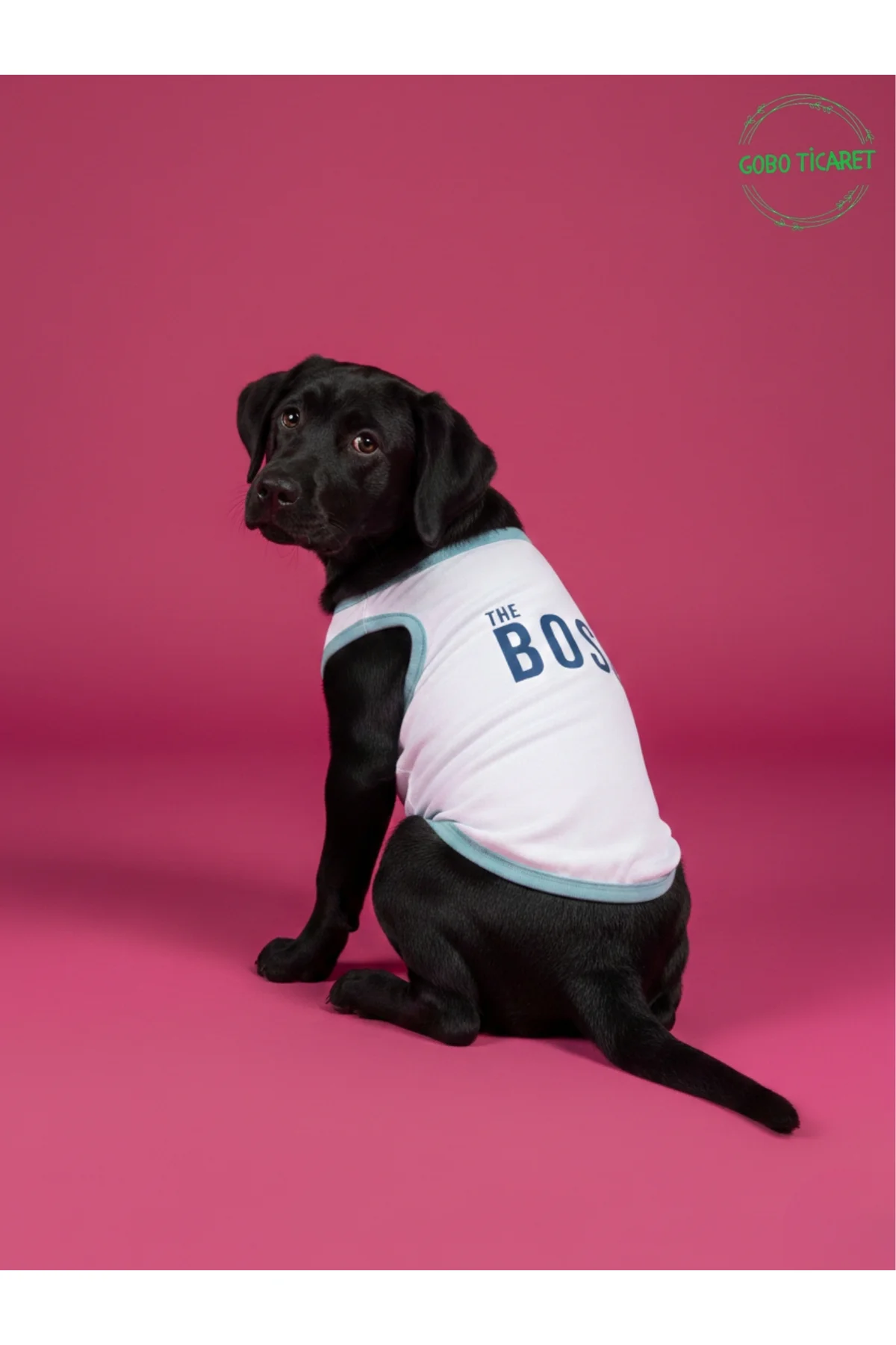 Beyaz The Boss (Patron) Yazılı Kedi ve Köpek Kıyafeti Tişörtü Elb