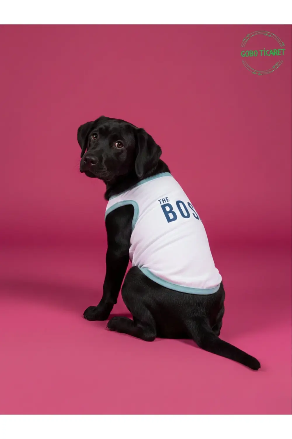 Beyaz The Boss (Patron) Yazılı Kedi ve Köpek Kıyafeti Tişörtü Elb