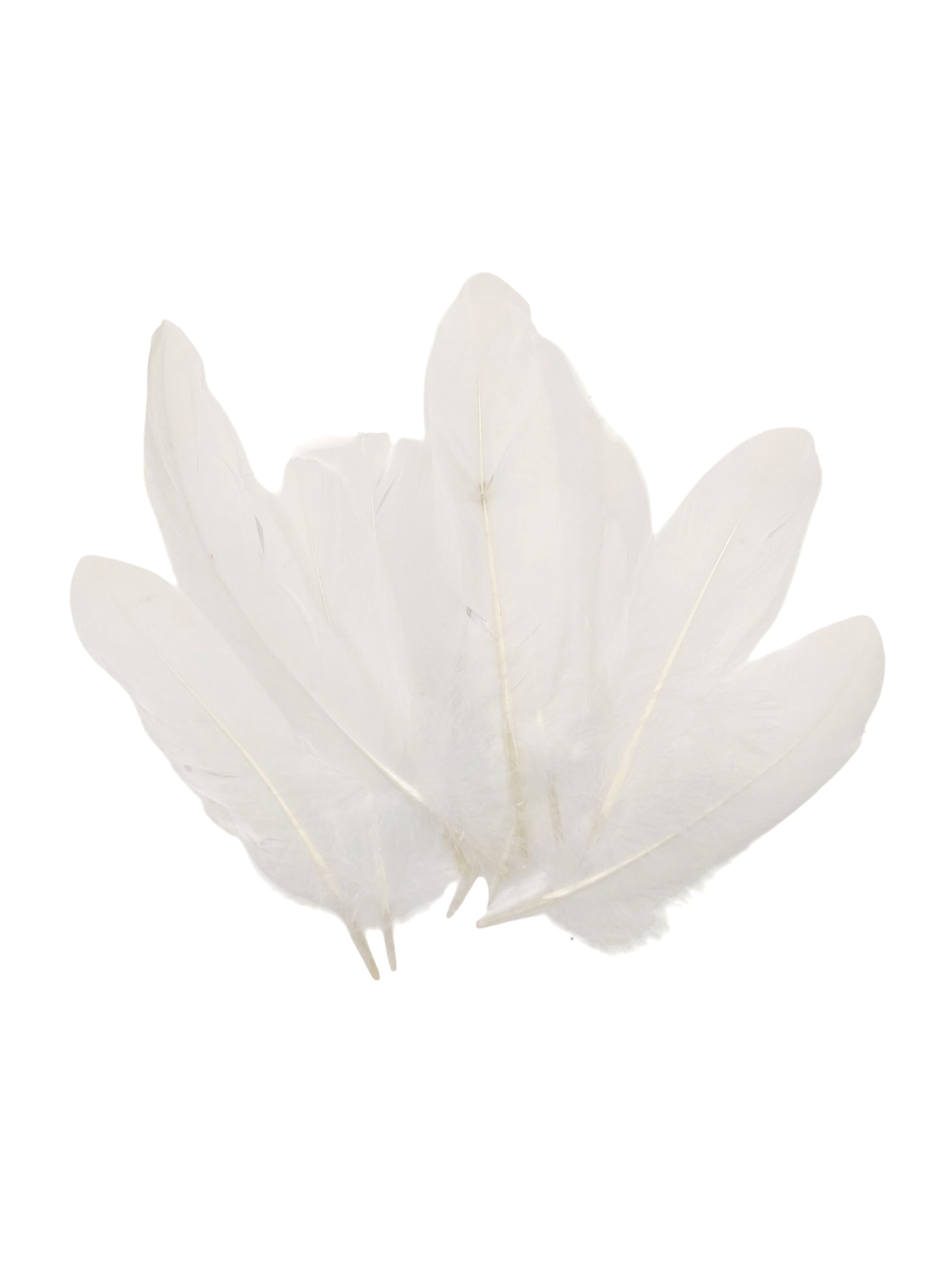 Beyaz Tüy El İşi Tüyleri, Okul Öncesi Etkinlik Tüy 10 Lu - 1 Pake