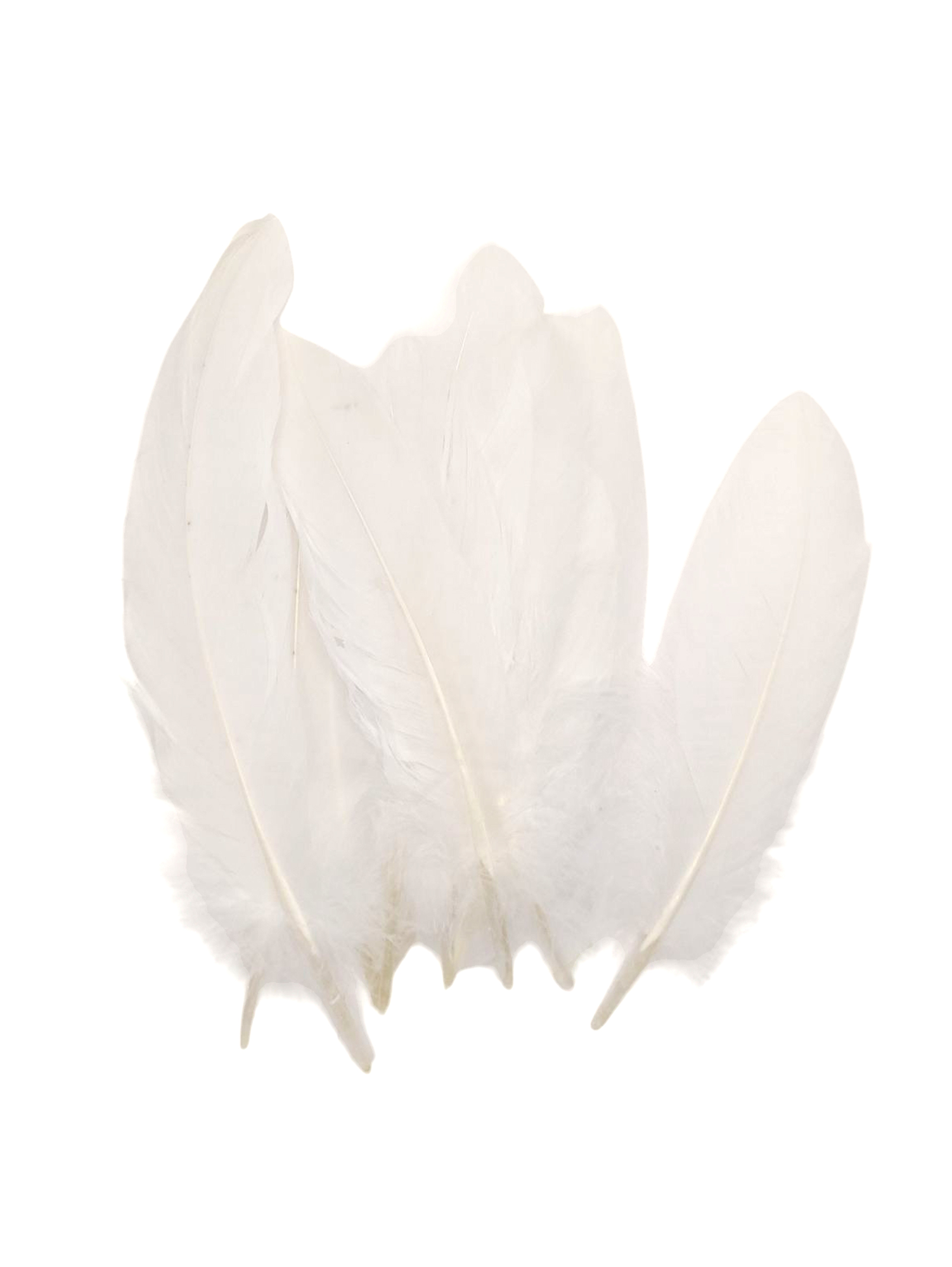 Beyaz Tüy El İşi Tüyleri, Okul Öncesi Etkinlik Tüy 10 Lu - 1 Pake