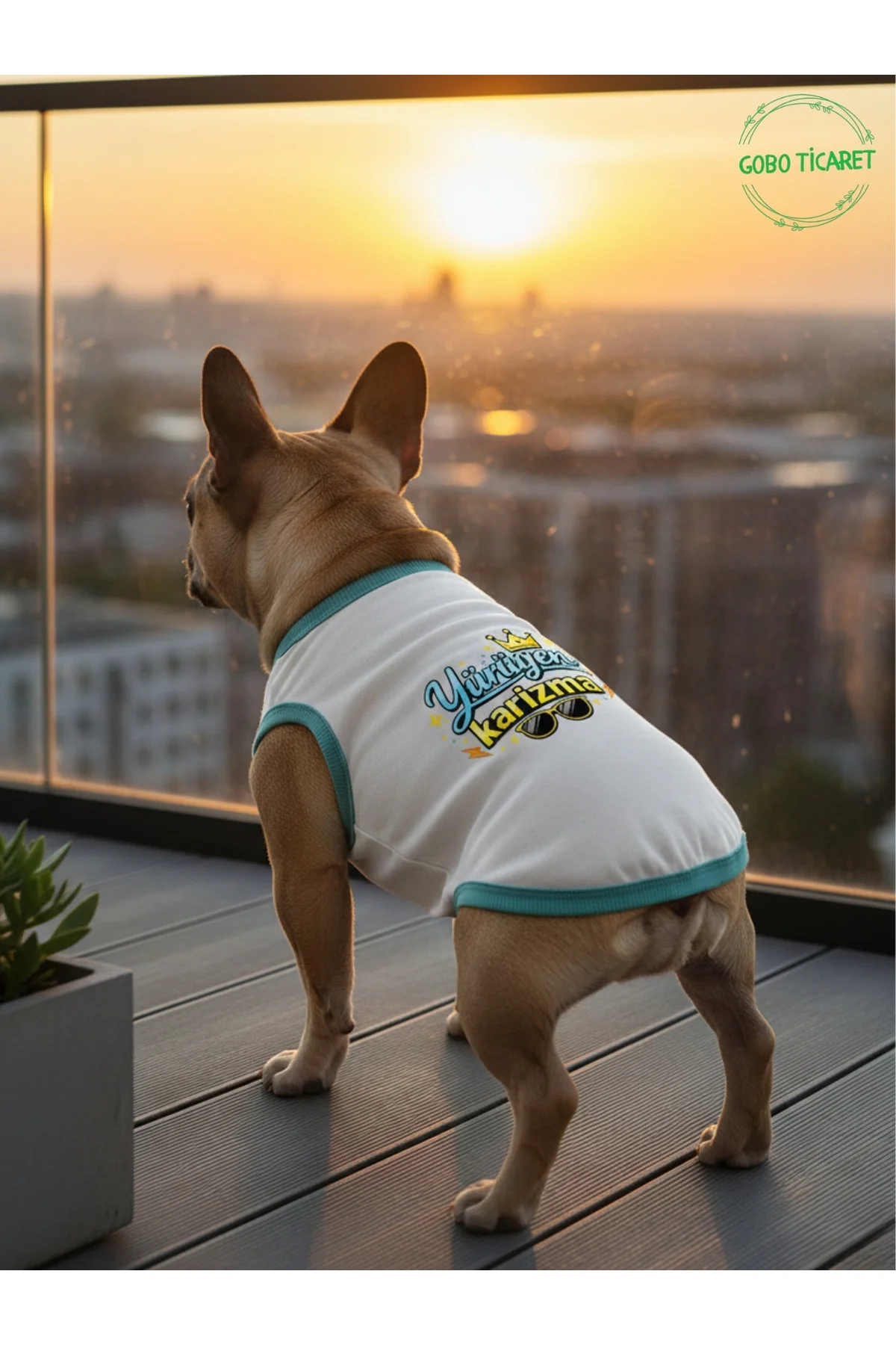 Beyaz Yürüyen Karizma Yazılı Kedi ve Köpek Kıyafeti Tişörtü Elbis