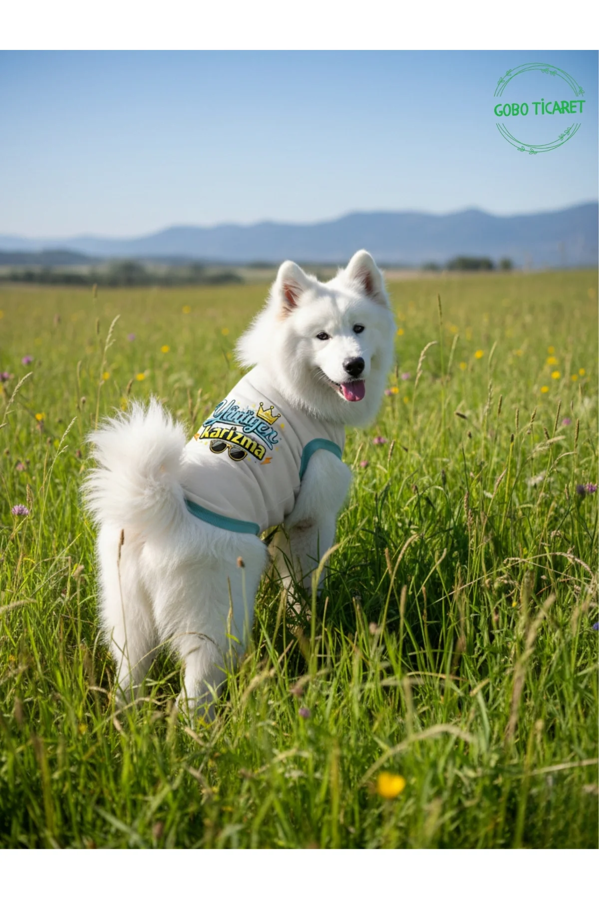 Beyaz Yürüyen Karizma Yazılı Kedi ve Köpek Kıyafeti Tişörtü Elbis