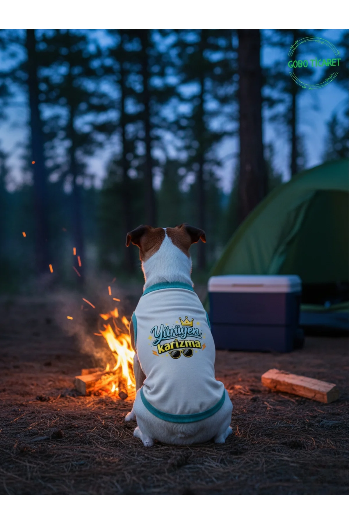 Beyaz Yürüyen Karizma Yazılı Kedi ve Köpek Kıyafeti Tişörtü Elbis