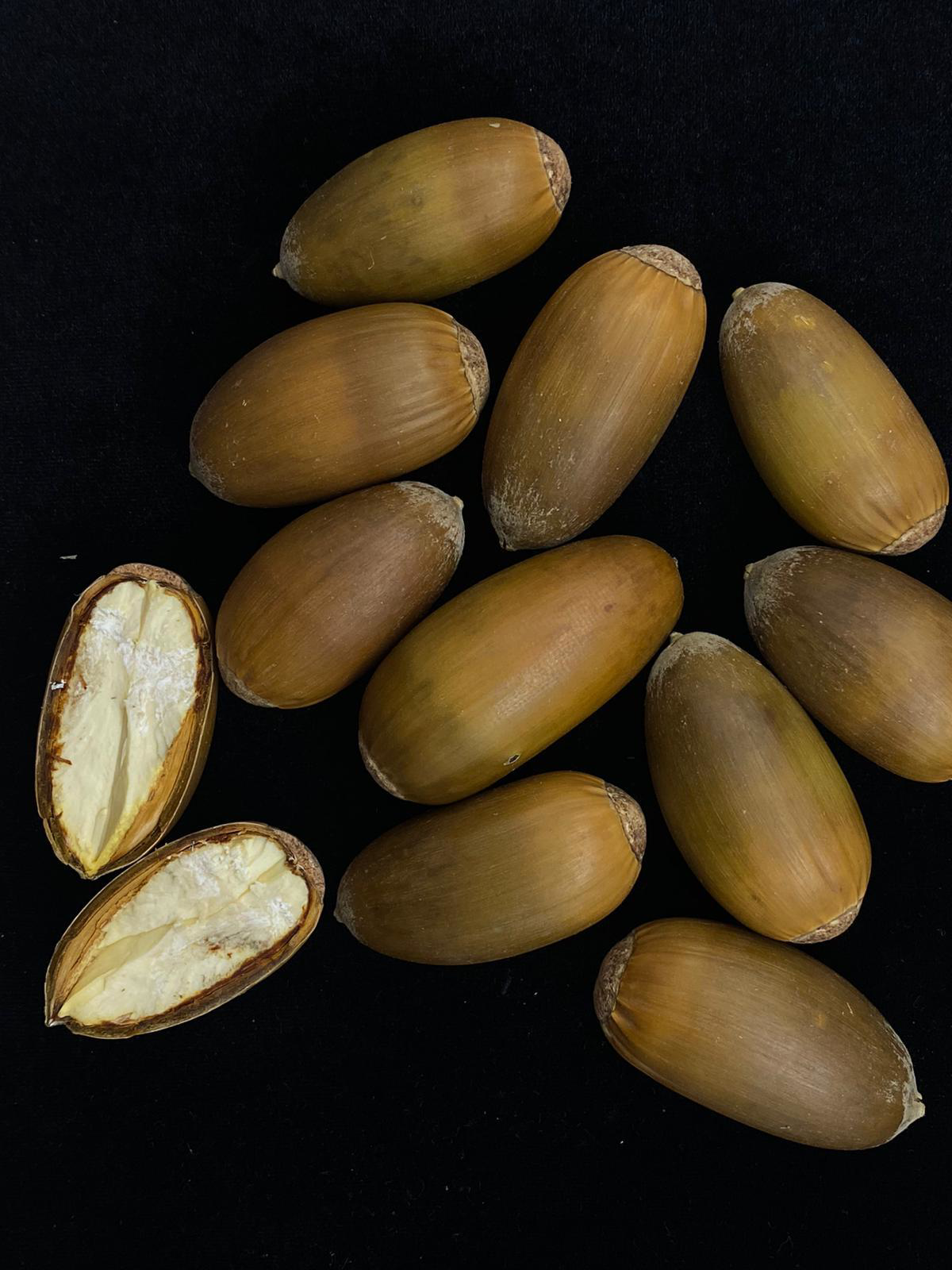 Beyisa Meşe Palamudu Doğunun Kestanesi Pelit Yemiş 1 kg Palamut