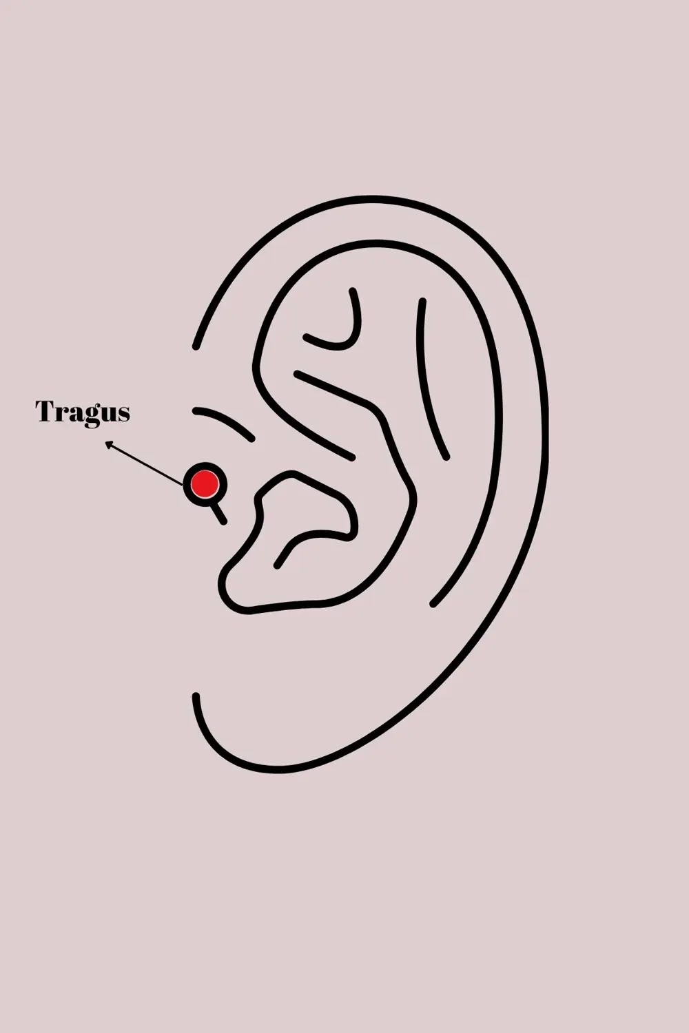 BFS 316L Çelik Gold Renk Zirkon Taşlı Çiçek Tragus Piercing