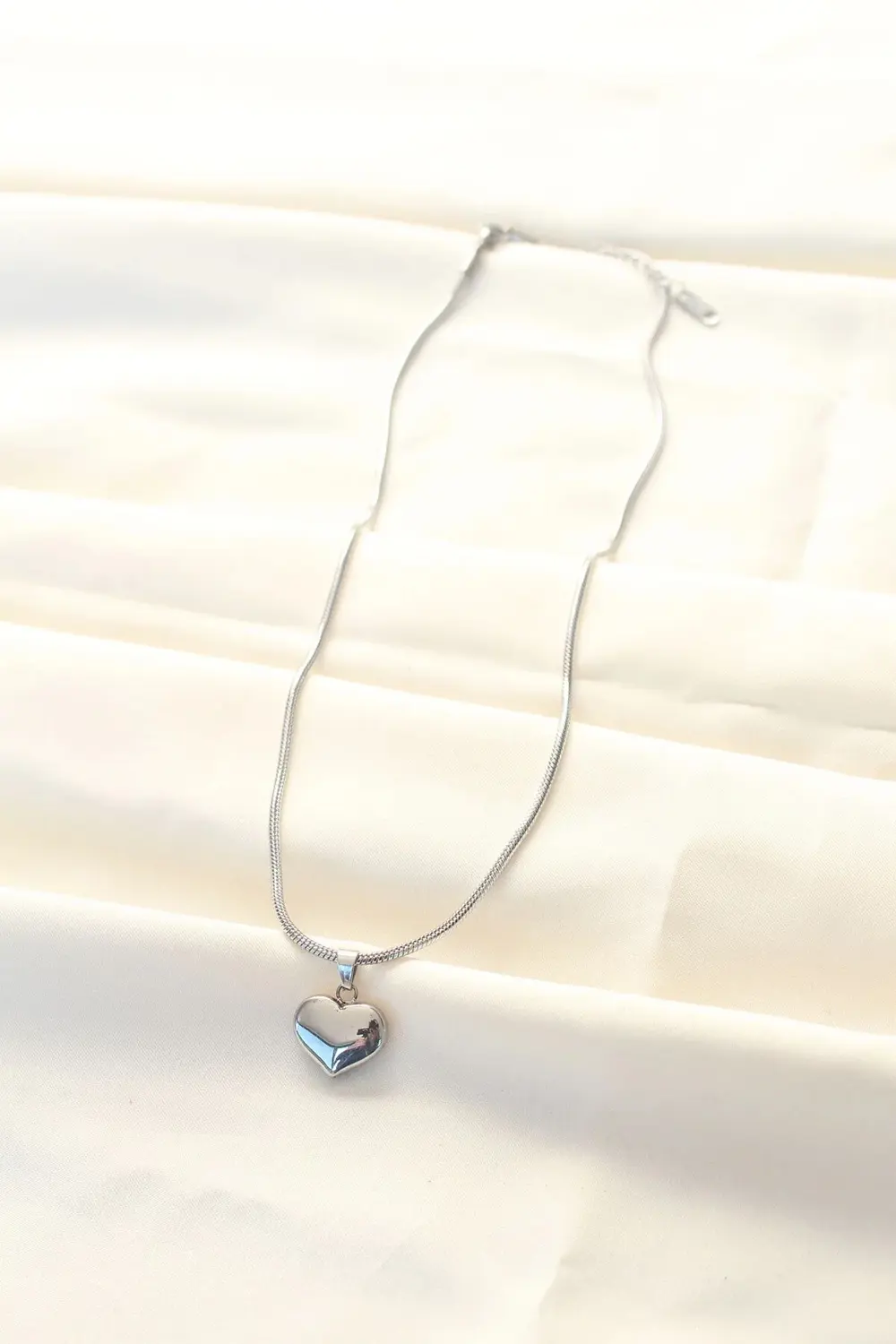 BFS 316L Çelik Gümüş Renk Kalp Kolye