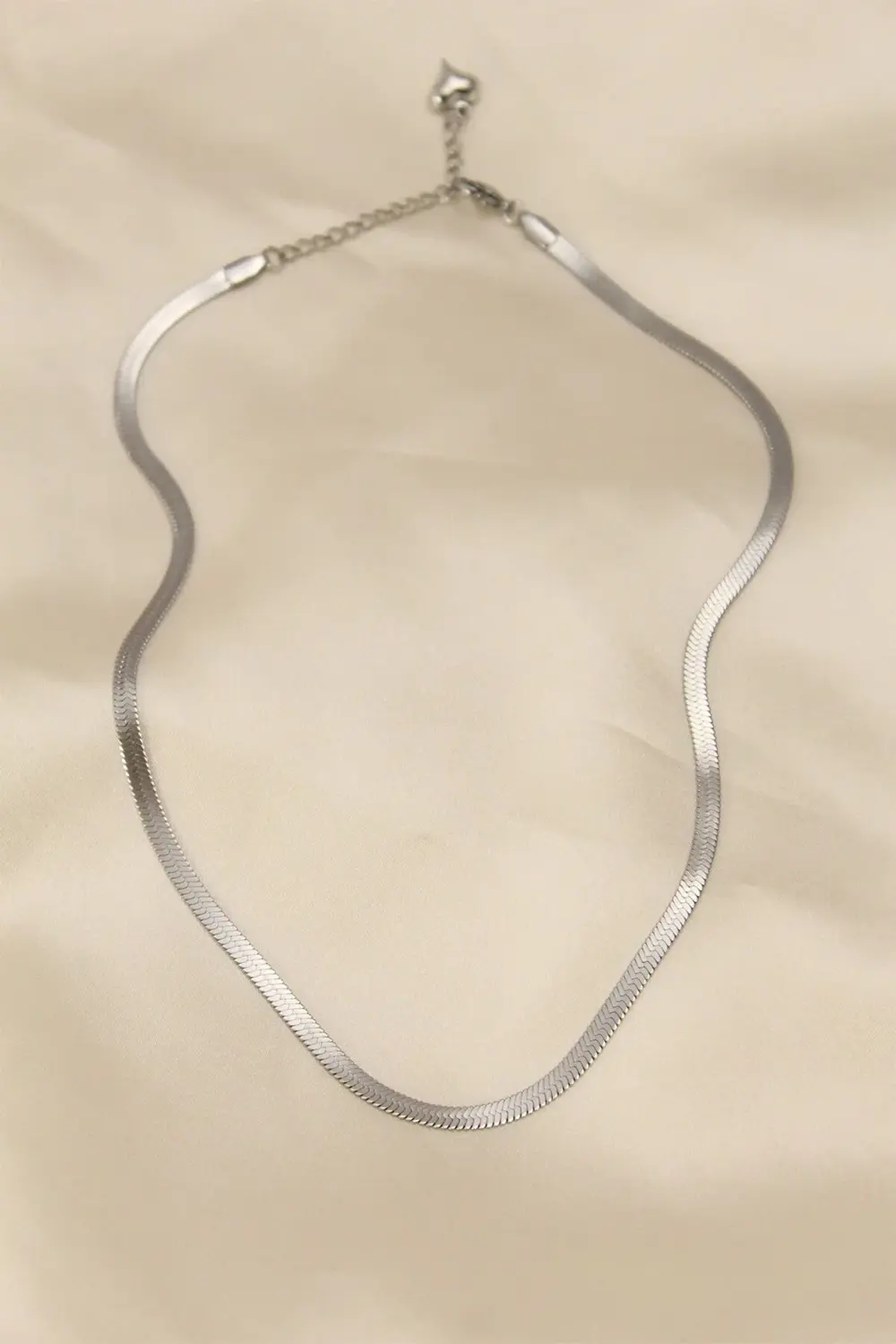 BFS 316L Çelik Silver Renk 45 cm İtalyan Zincir Model Kadın Kolye