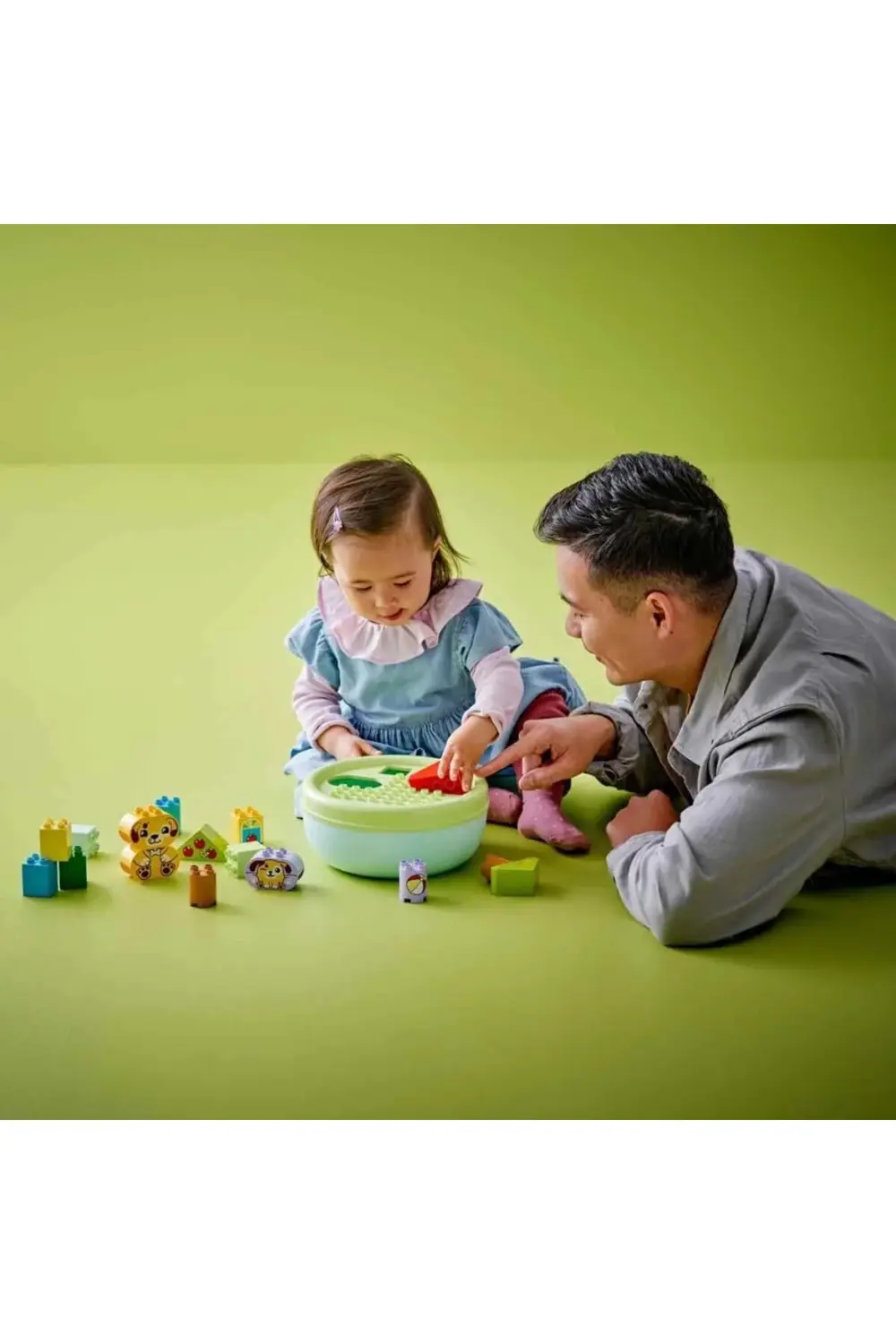 BFS DUPLO İlk Şekil Ayırıcı: Köpek Evi 10441