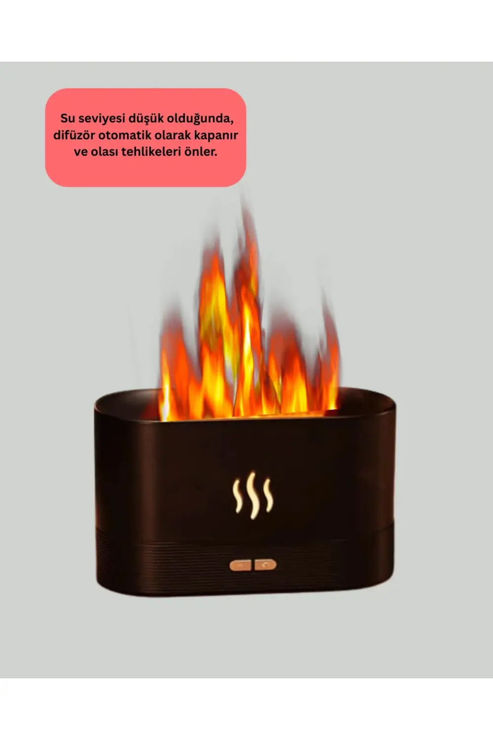 BFS SL169 NEMLENDİRİCİ