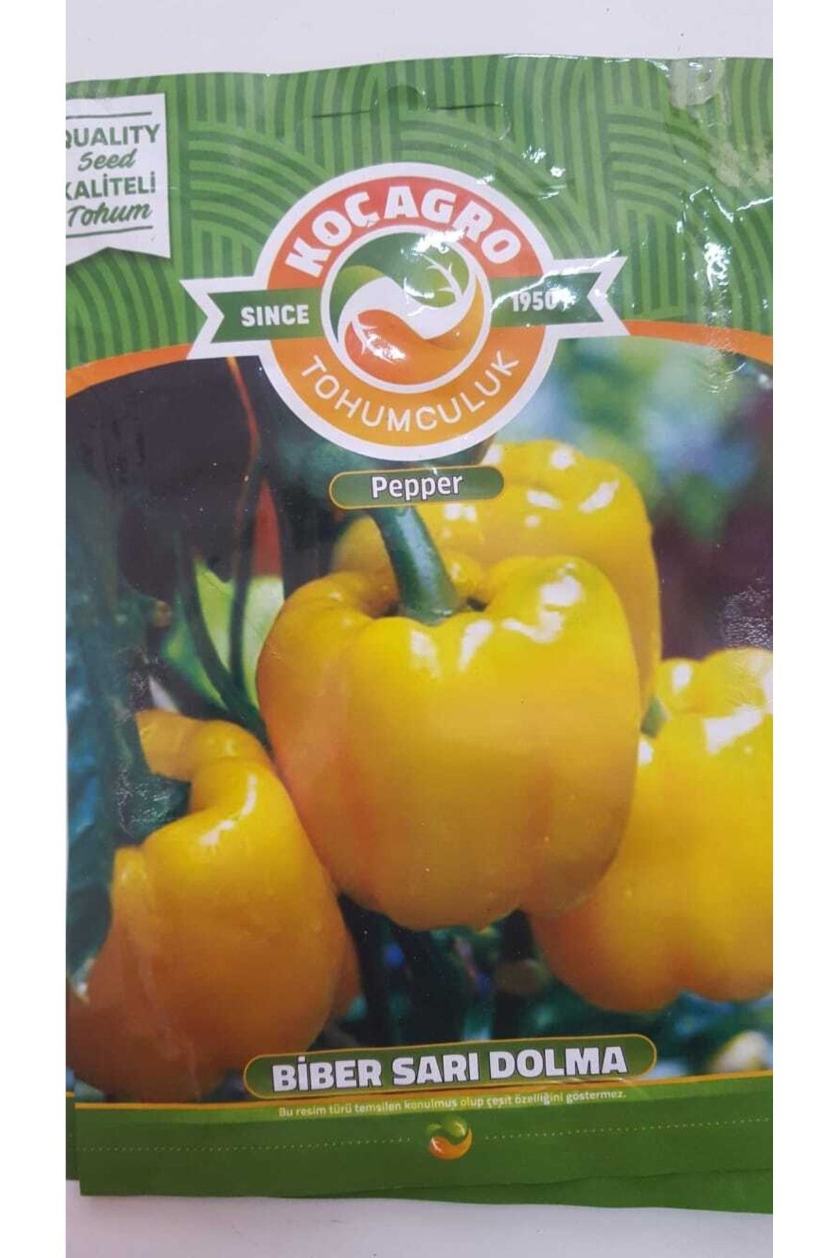 Koçağro Biber Sarı Dolma Tohumu 1 Paket %100 Yüksek Verimlidir.