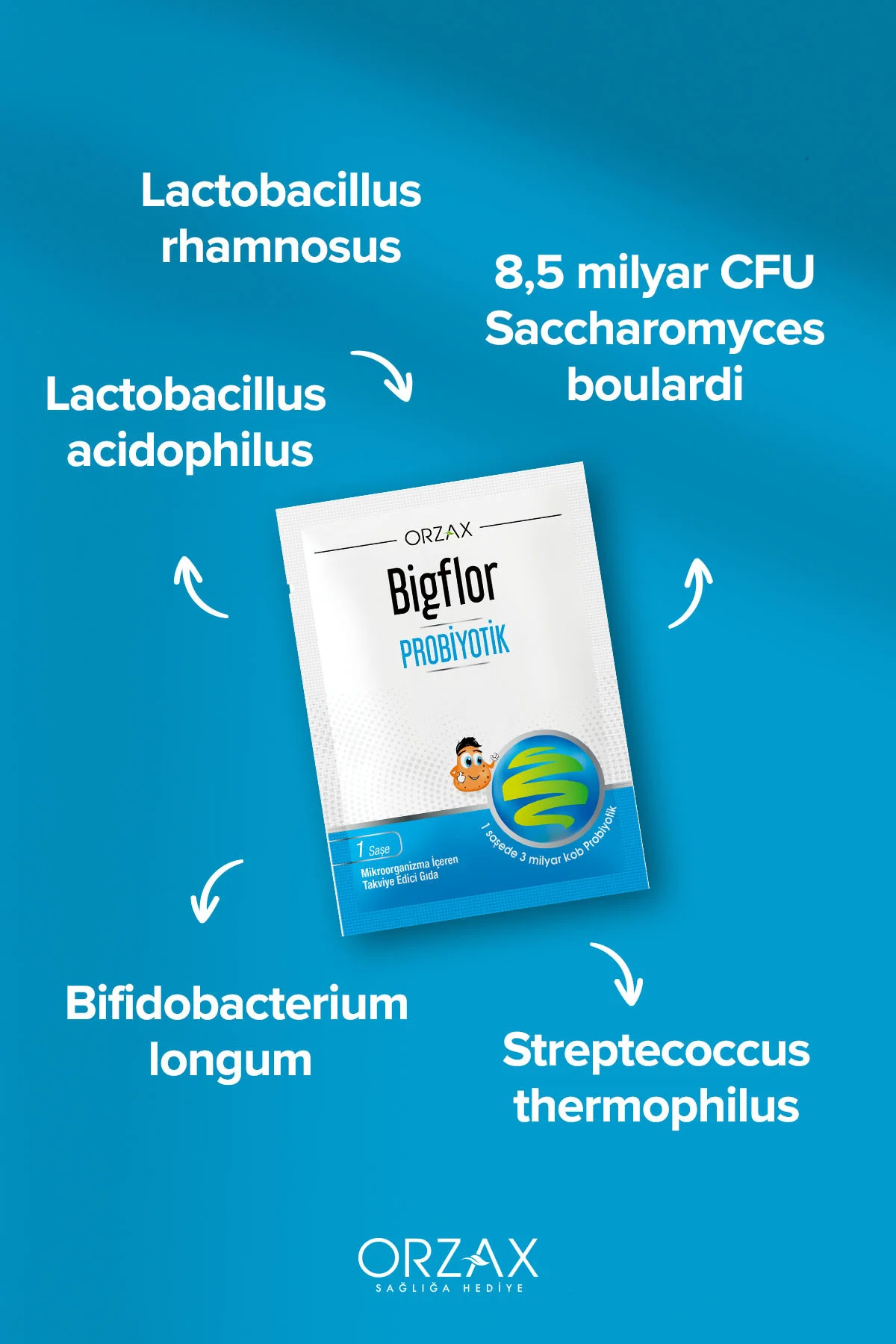 Bigflor Probiyotik 10 Saşe