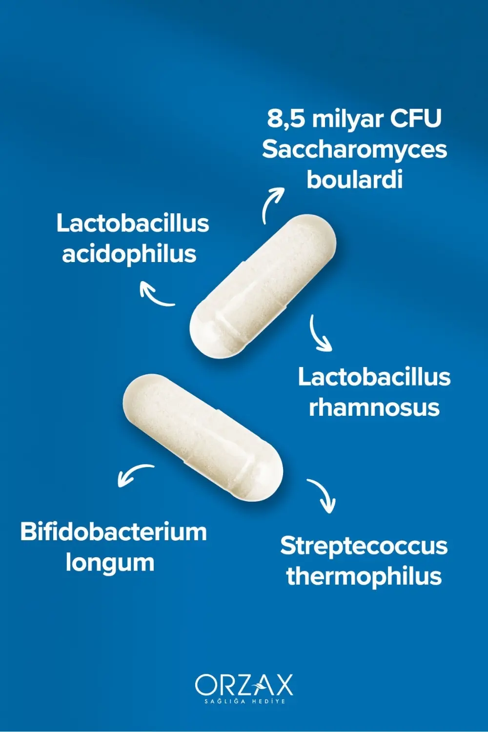 Bigflor Probiyotik 30 Kapsül