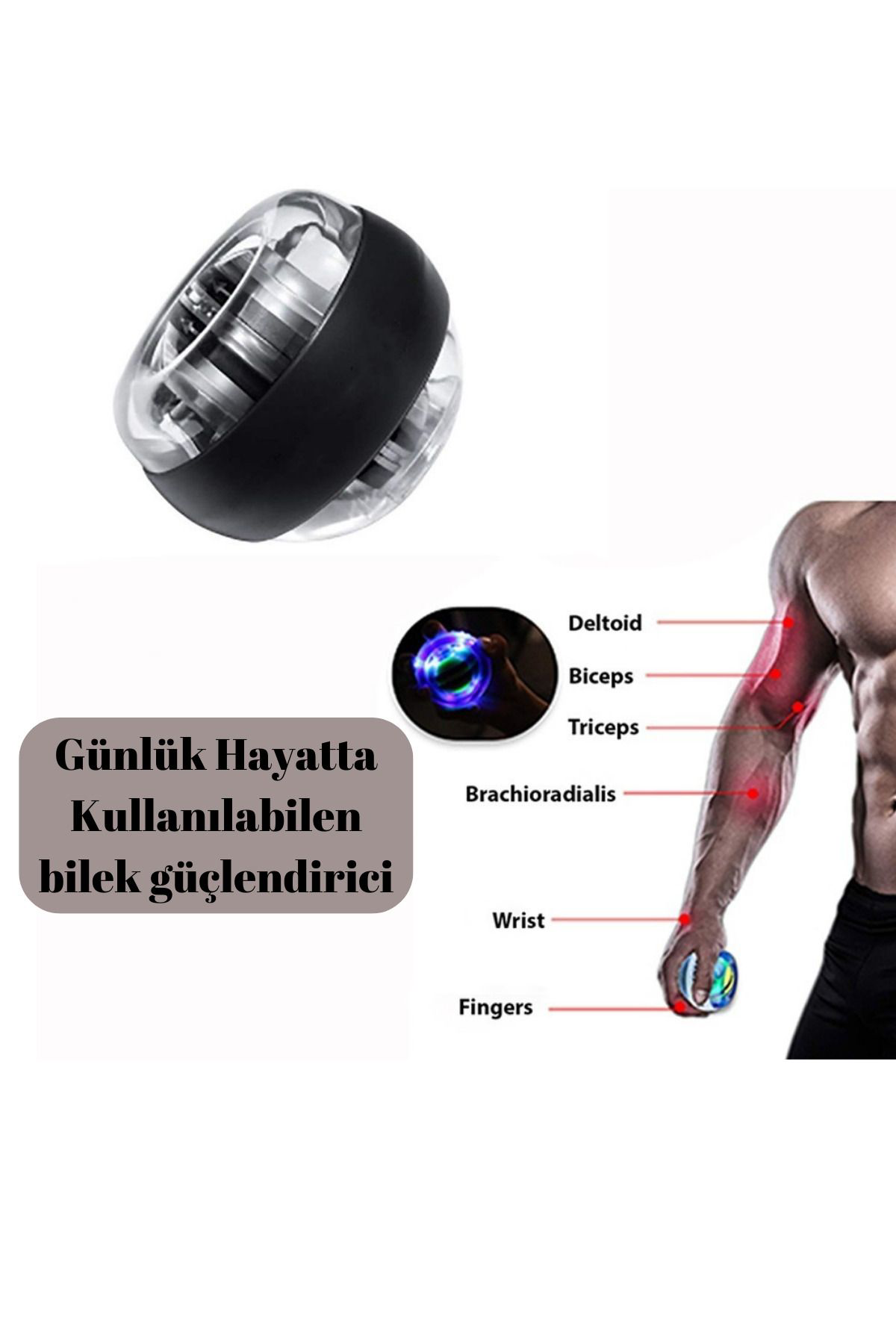 Woody Sofia Bilek Güçlendirme Egzersiz Topu Gyroball El Bilek Ve Kol Geliştir