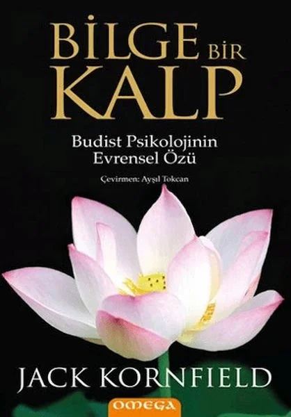 Bilge Bir Kalp Fiyatı, Yorumları ve Özellikleri