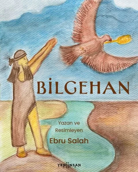 Bilgehan Fiyatı, Yorumları ve Özellikleri