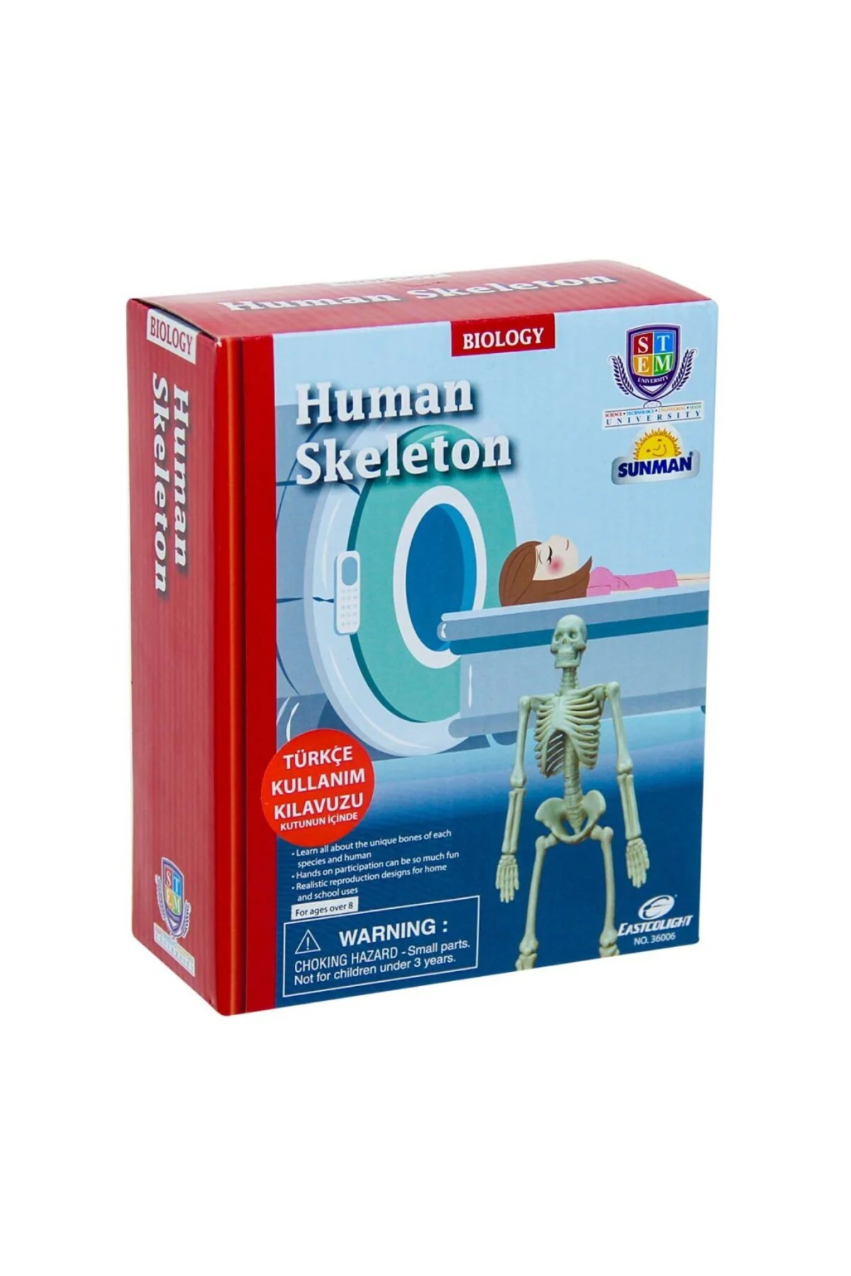 Bilim Seti : İnsan İskeleti
