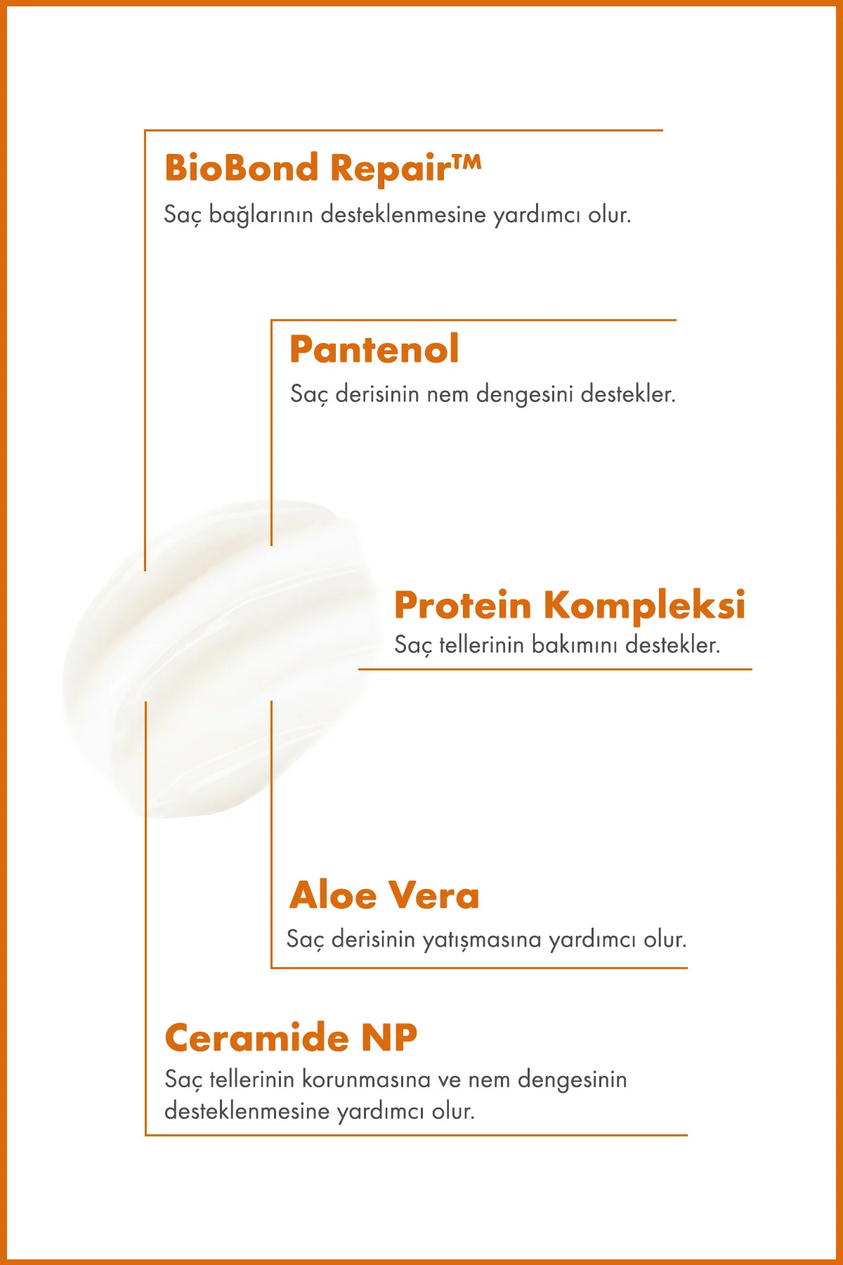 BioBond Repair™ Bağ Onarıcı Şampuan – Bağ Güçlendirici ve Yeniley