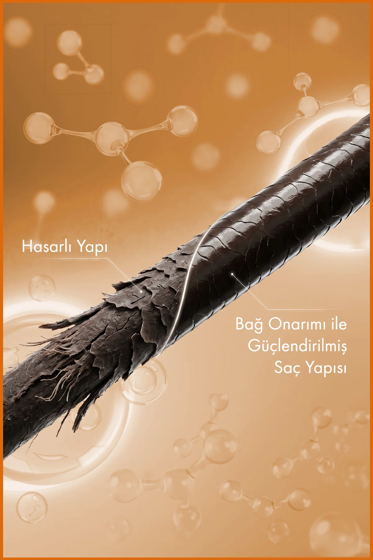 BioBond Repair™ Bağ Onarıcı Durulanmayan Isı Koruyucu Saç Kremi 2 Fiyatı, Yorumları ve Özellikleri