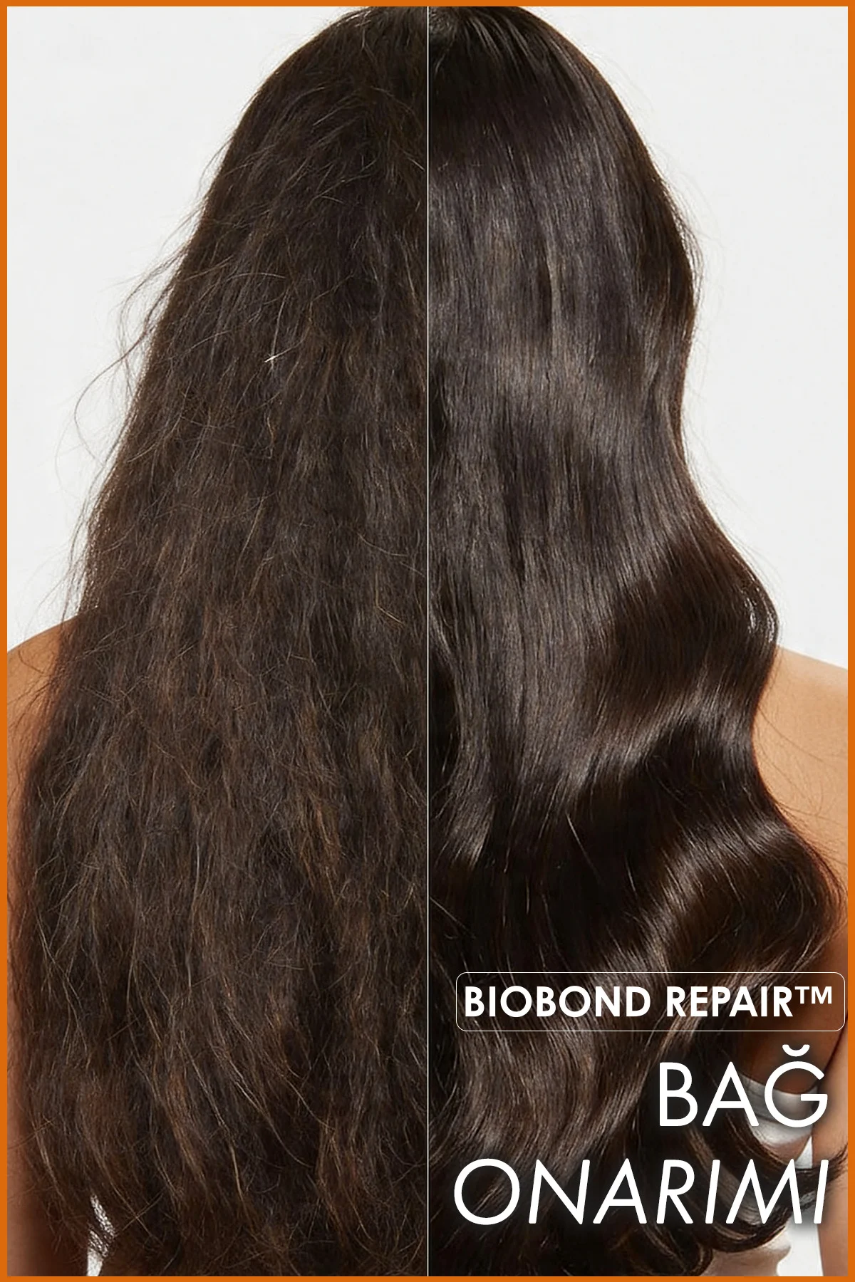 BioBond Repair™ Şampuan Öncesi Bağ Onarıcı Saç Bakım Yağı 100 ML BioBond Repair™ Şampuan Öncesi Bağ Onarıcı Saç Bakım Yağı 100 ML Fiyatı, Yorumları ve Özellikleri
