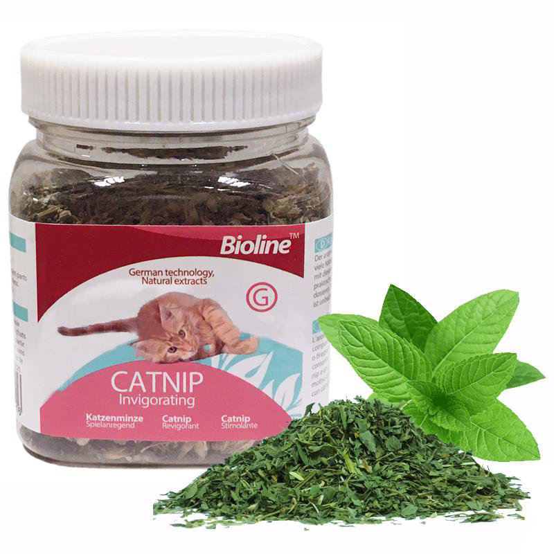 Bioline Catnip Kedi Otu 230 ml