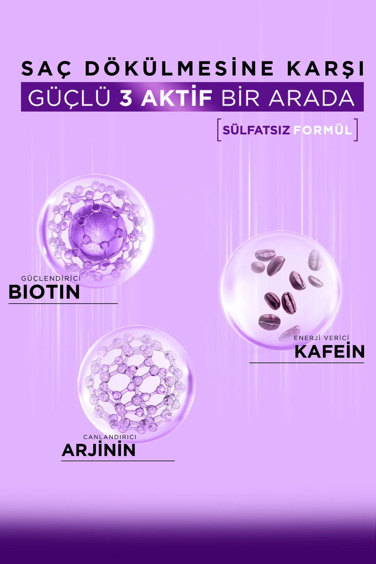 Biotin & Kafein Saç Dökülmesine Karşı Tonik + Şampuan Biotin & Kafein Saç Dökülmesine Karşı Tonik + Şampuan