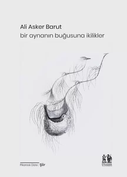 Bir Aynanın Buğusuna İkilikler Fiyatı, Yorumları ve Özellikleri