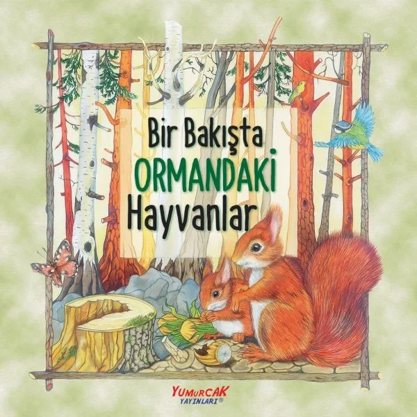 Bir Bakışta Ormandaki Hayvanlar Fiyatı, Yorumları ve Özellikleri