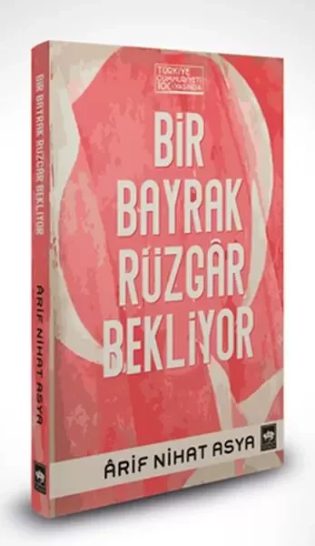 Bir Bayrak Rüzgar Bekliyor (Ciltli) Fiyatı, Yorumları ve Özellikleri