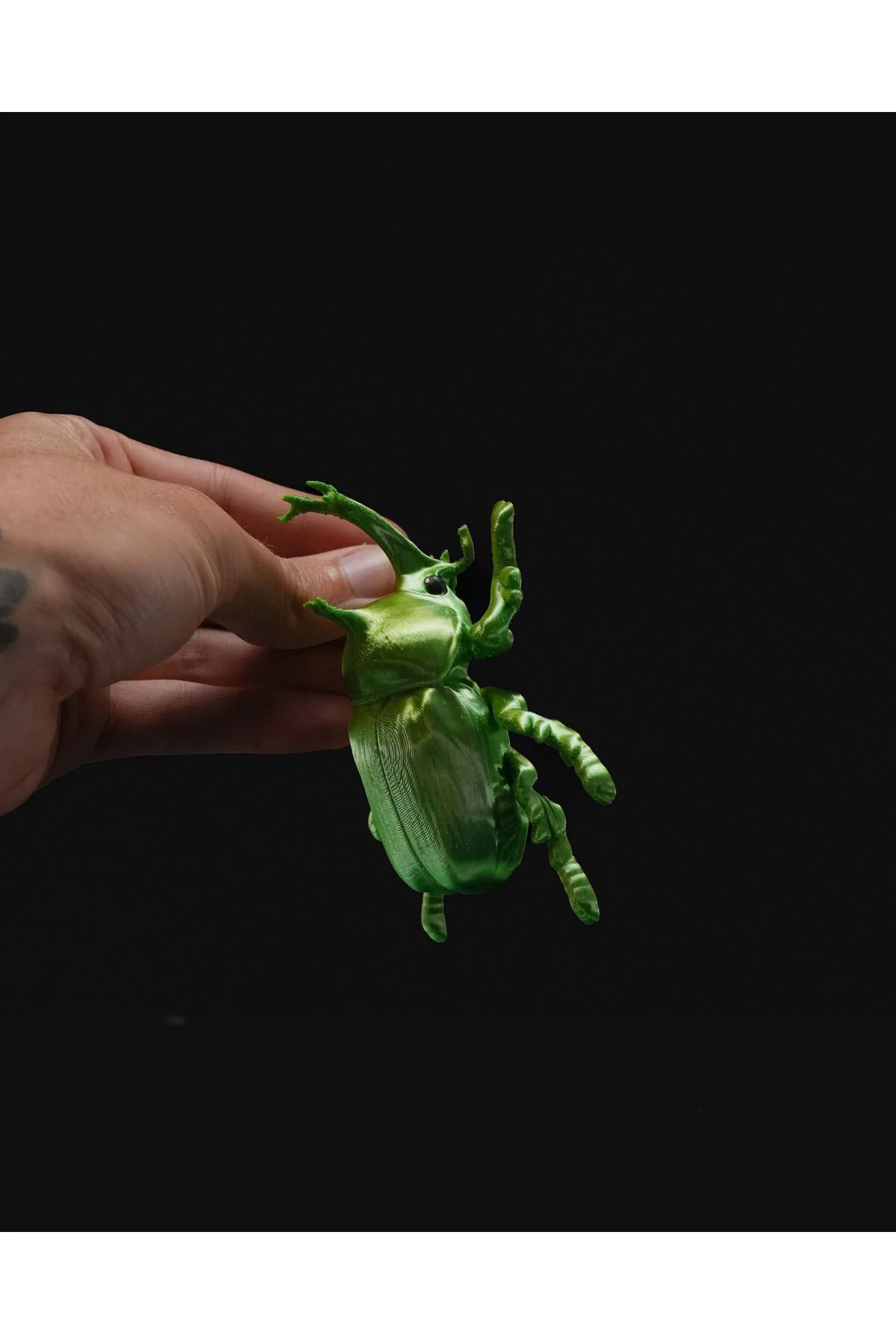Bir Böceğin Yaşamı Rhino Böcek Duvar Dekoru 15CM