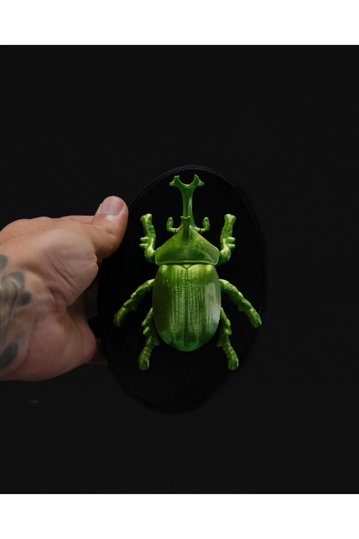 Bir Böceğin Yaşamı Rhino Böcek Duvar Dekoru 15CM