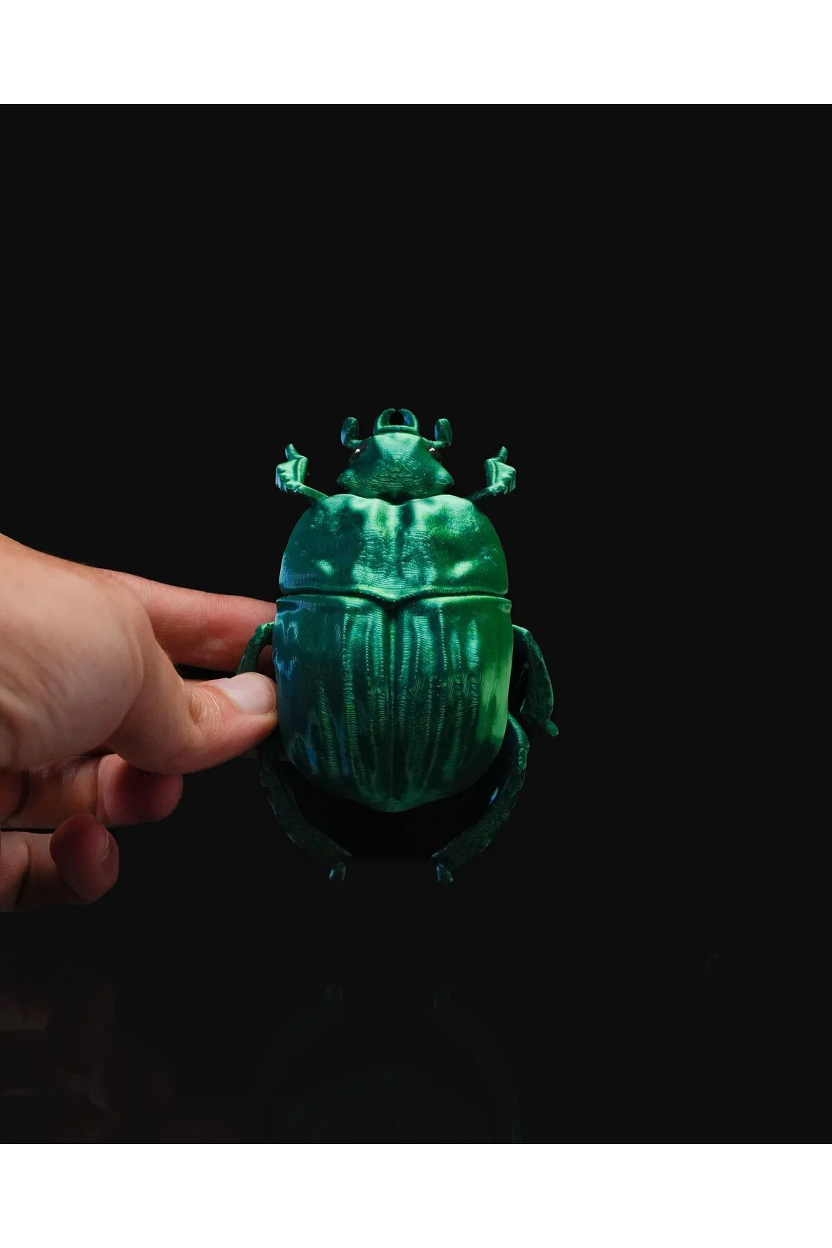 Bir Böceğin Yaşamı Scarab Böcek Duvar Dekoru 15CM