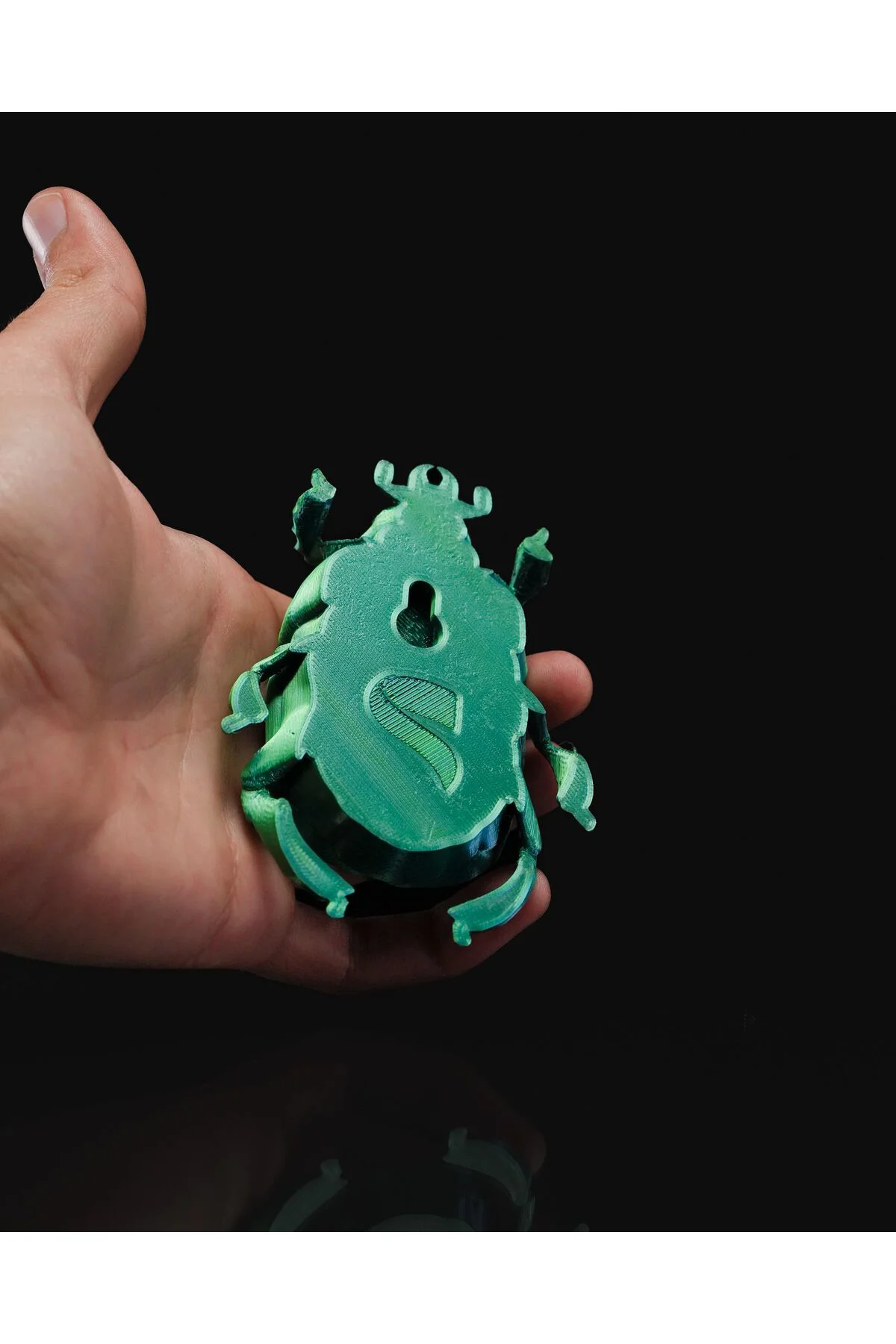 Bir Böceğin Yaşamı Scarab Böcek Duvar Dekoru 15CM
