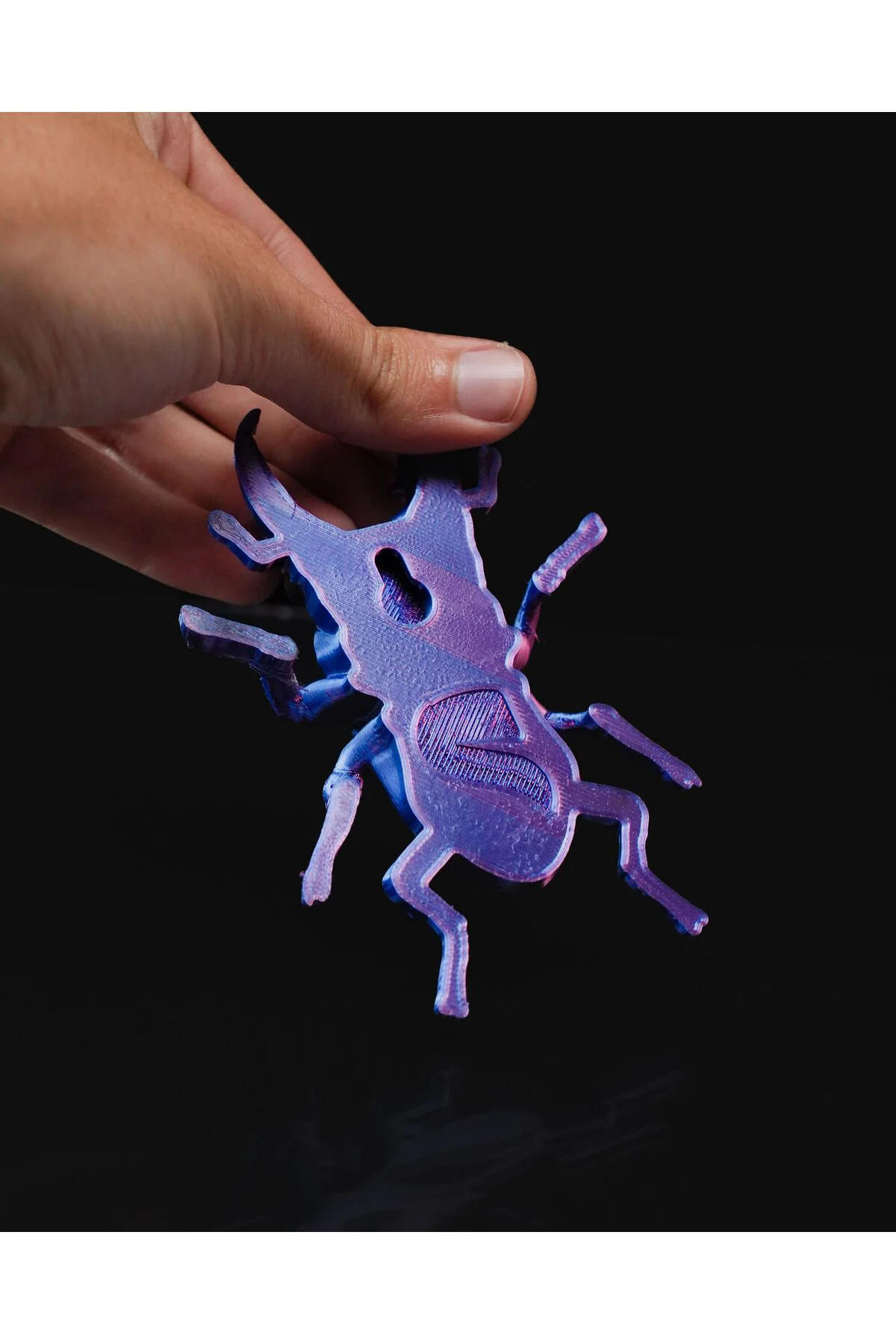 Bir Böceğin Yaşamı Stag Böcek Duvar Dekoru 15CM