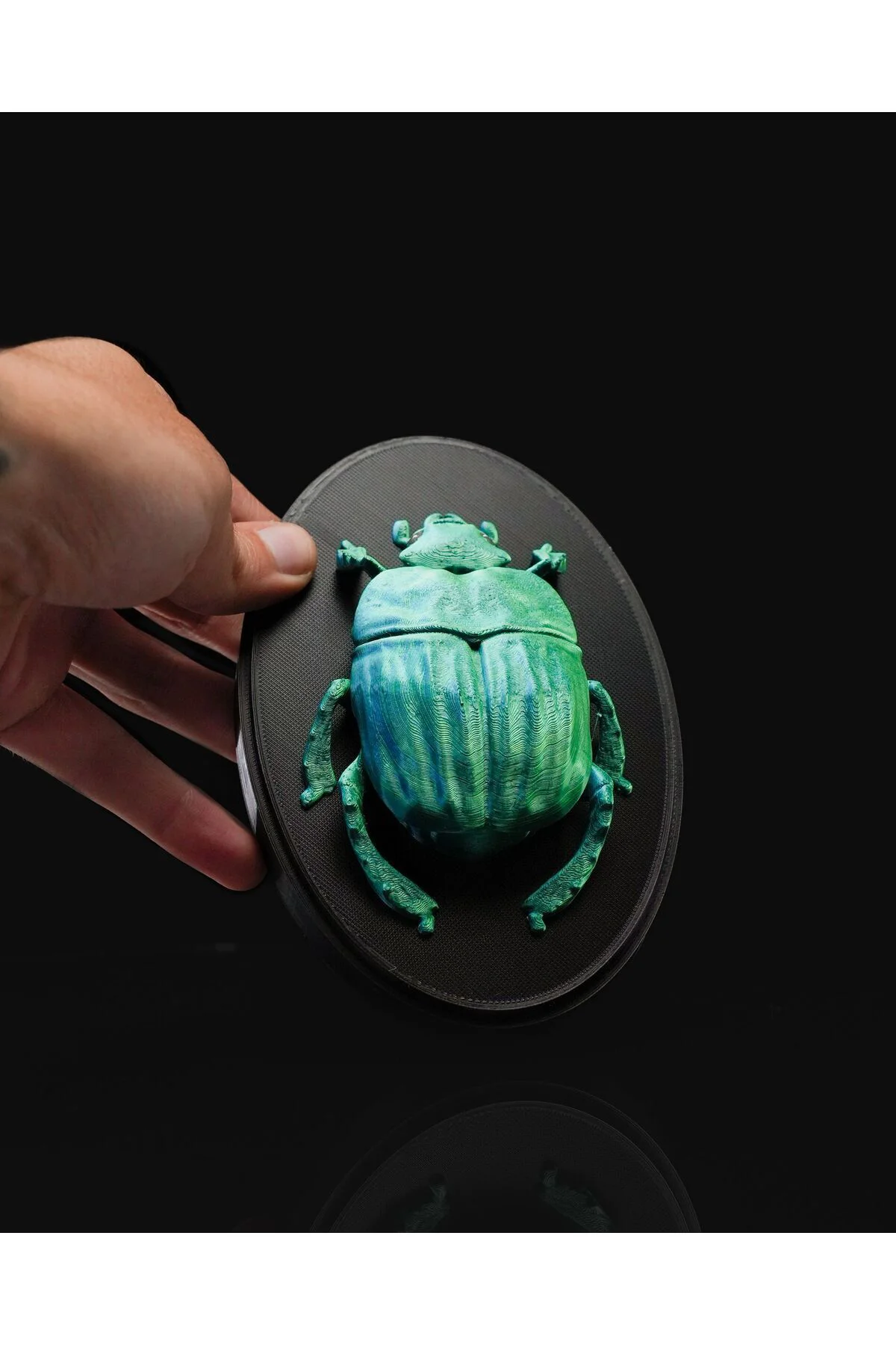 Bir Böceğin Yaşamı Scarab Böcek Duvar Dekoru 15CM