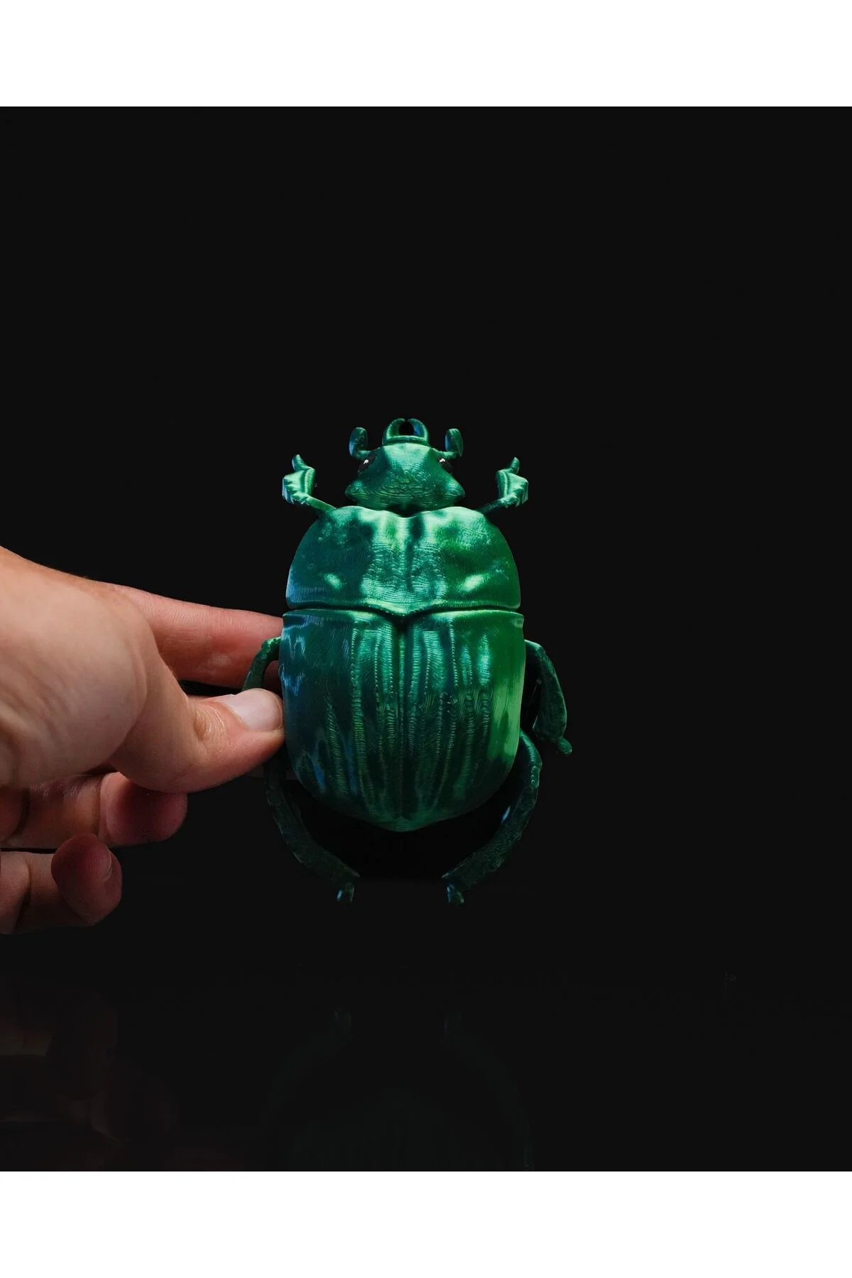Bir Böceğin Yaşamı Scarab Böcek Duvar Dekoru 15CM