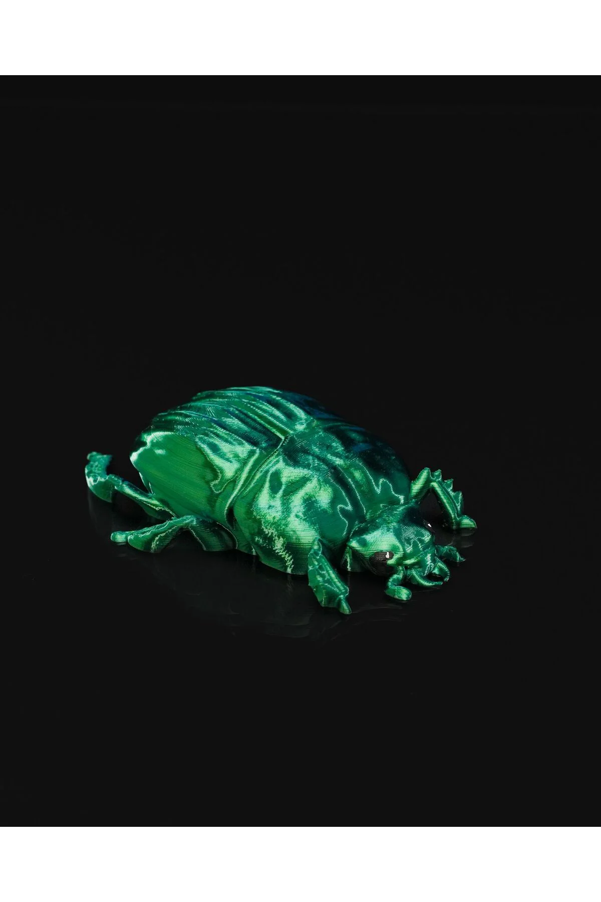 Bir Böceğin Yaşamı Scarab Böcek Duvar Dekoru 15CM