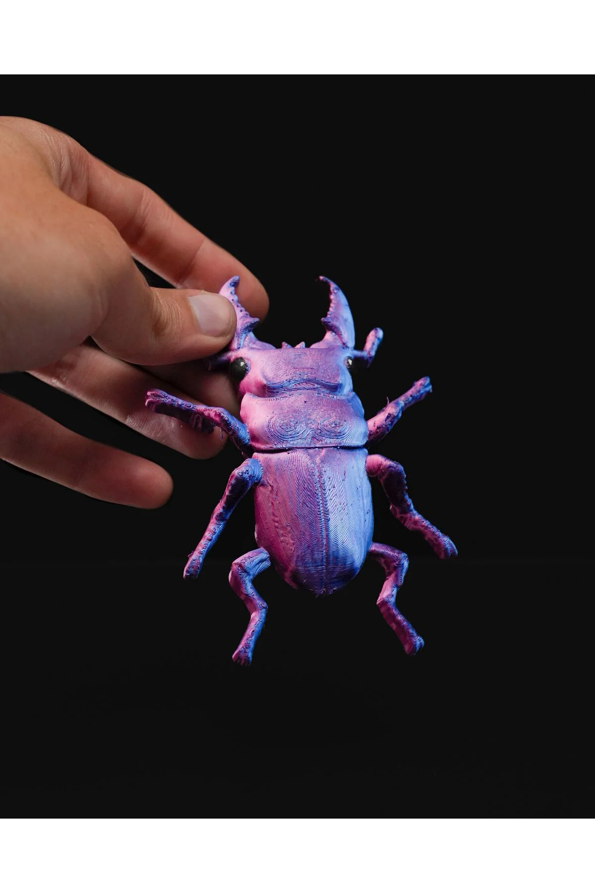 Bir Böceğin Yaşamı Stag Böcek Duvar Dekoru 15CM