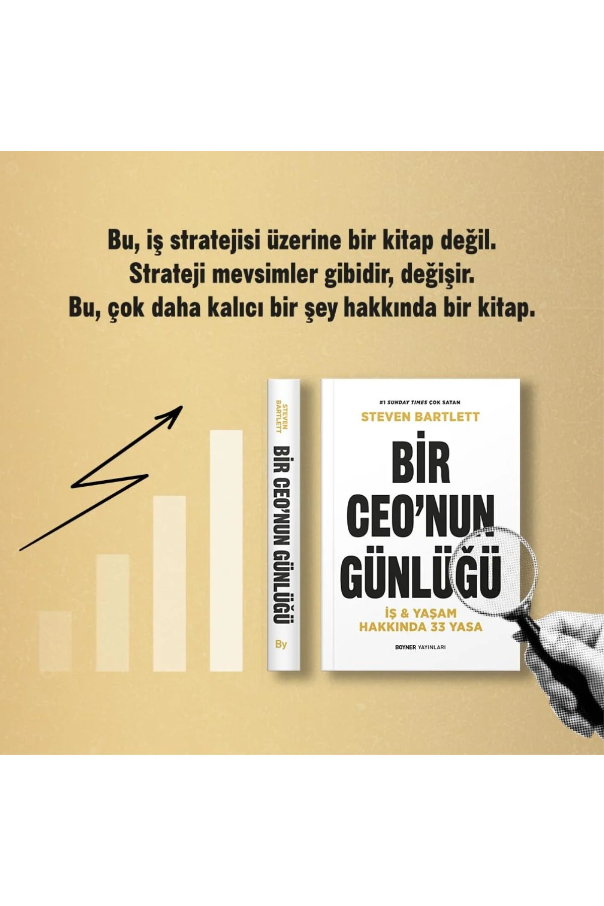Bir Ceo'nun Günlüğü: İş ve Yaşam Hakkında 33 Yasa