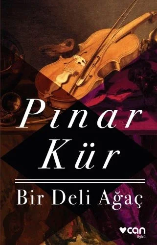 Bir Deli Ağaç Fiyatı, Yorumları ve Özellikleri