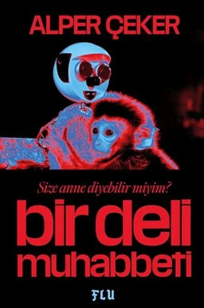 Bir Deli Muhabbeti Fiyatı, Yorumları ve Özellikleri