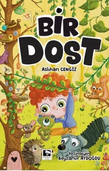 Bir Dost Fiyatı, Yorumları ve Özellikleri