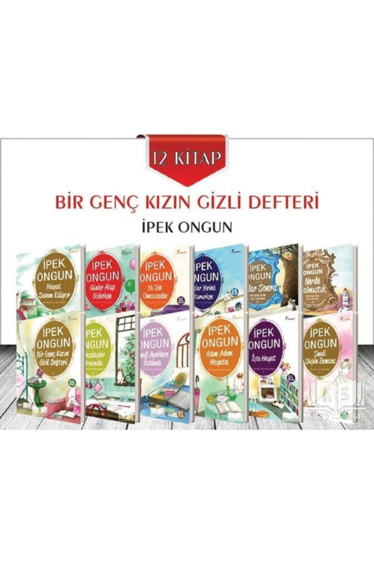 Bir Genç Kızın Gizli Defteri 12 Kitap Seti